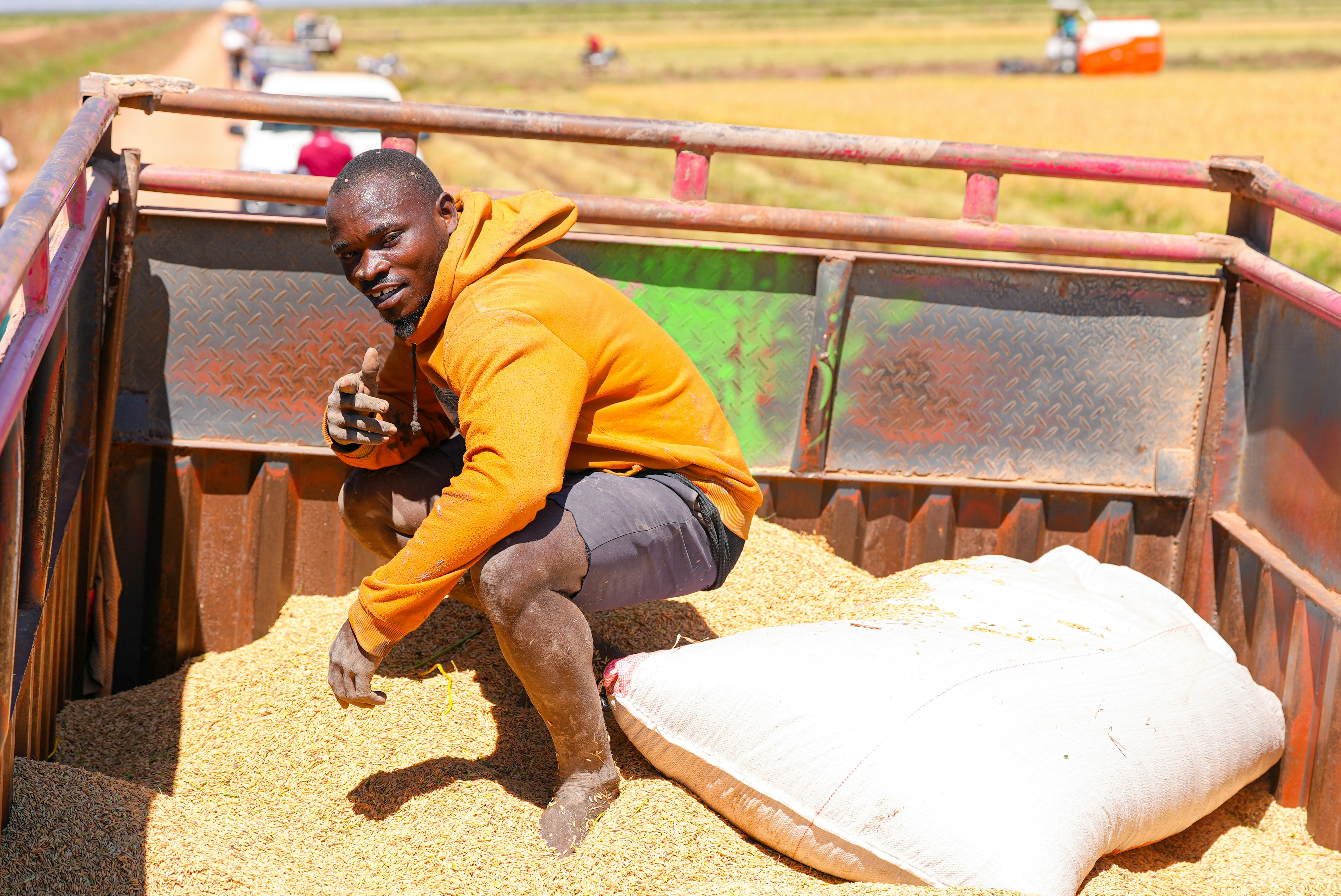 Un homme accroupi sur un tas de grains récoltés à l'arrière d'un camion, image d'illustration des récoltes qui pourraient approvisionner l'usine de suppléments nutritionnels au Bénin