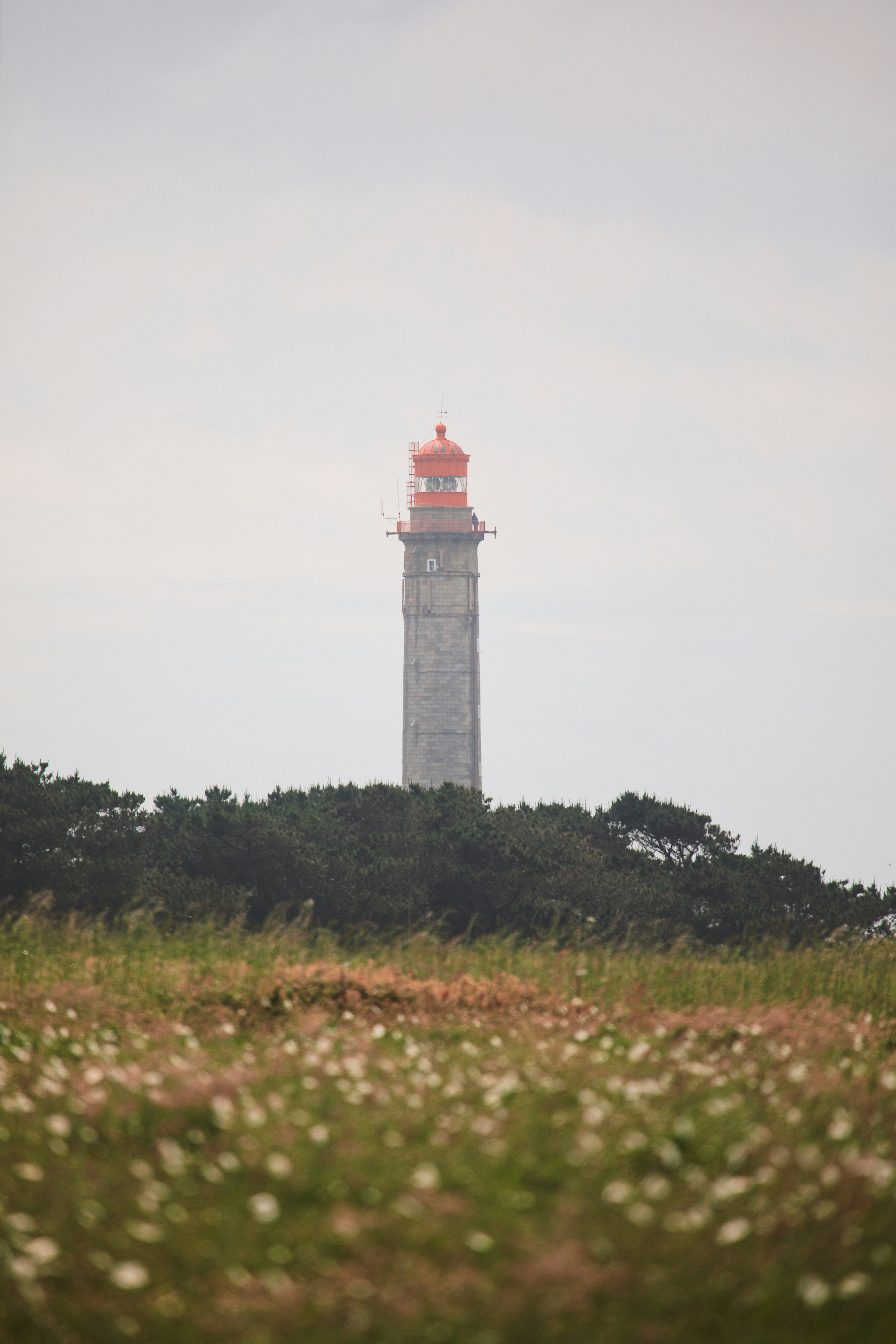 A tall stone lighthouse with a red lantern room above dark green trees