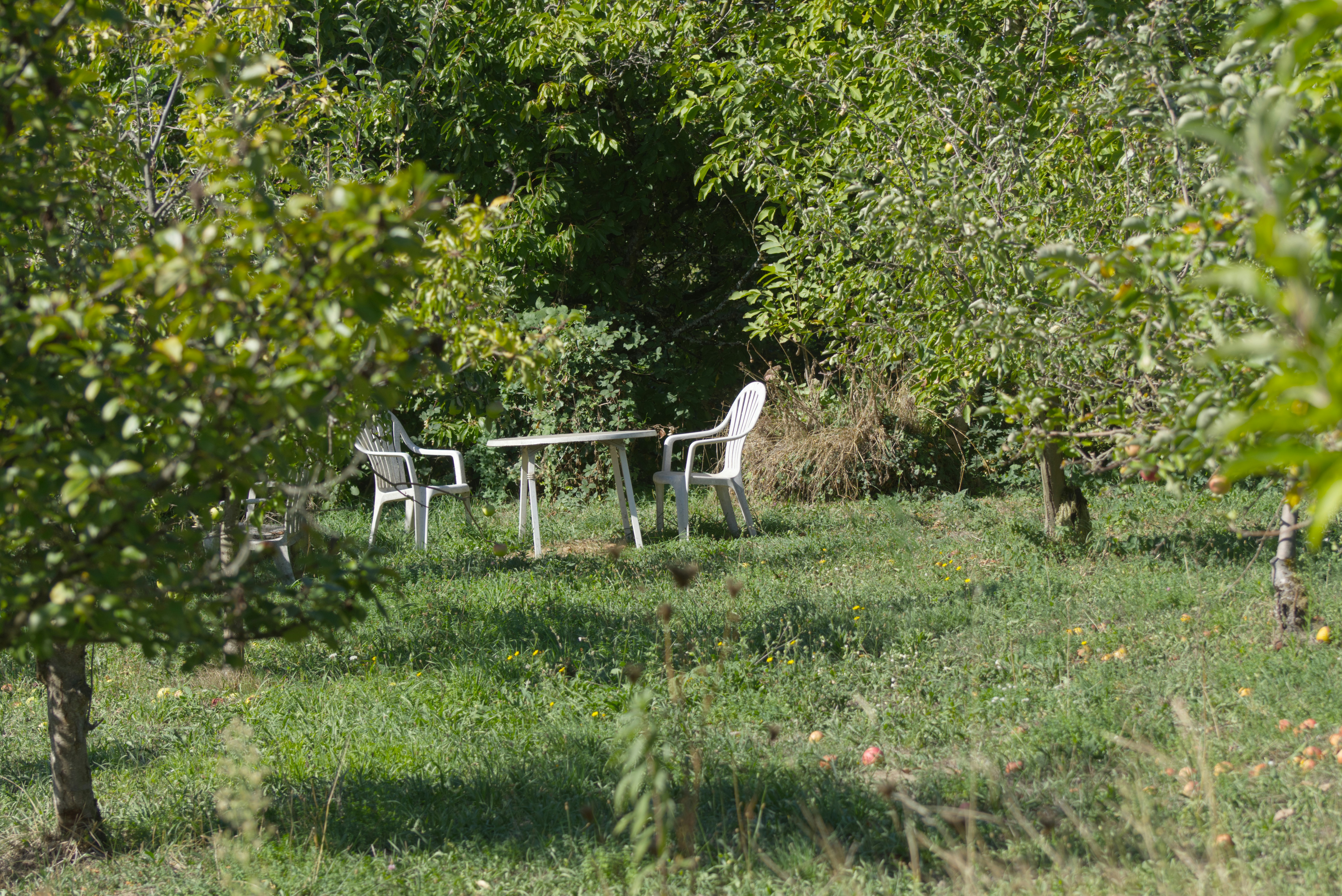 Logis Hôtel-Restaurant Le Cheval Blanc — Charny-Orée-de-Puisaye, Yonne