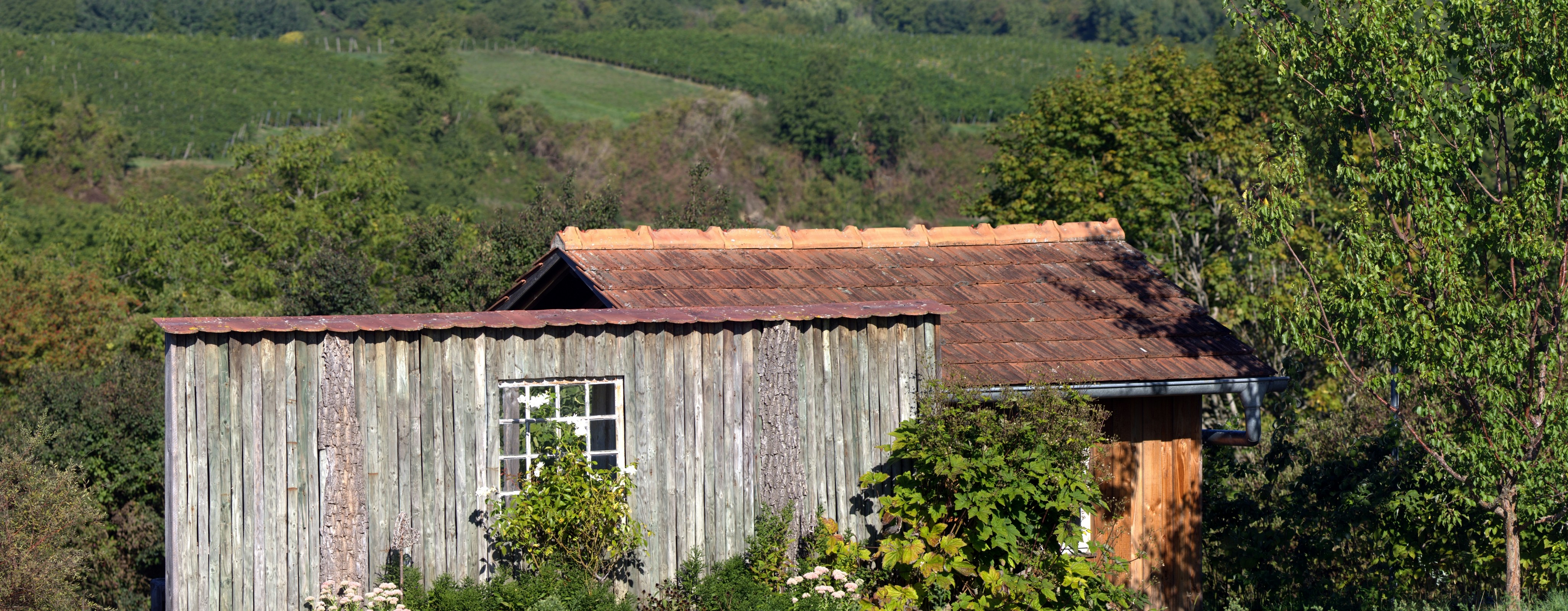 Gîte à la ferme — Les Poulets — Le Rousset