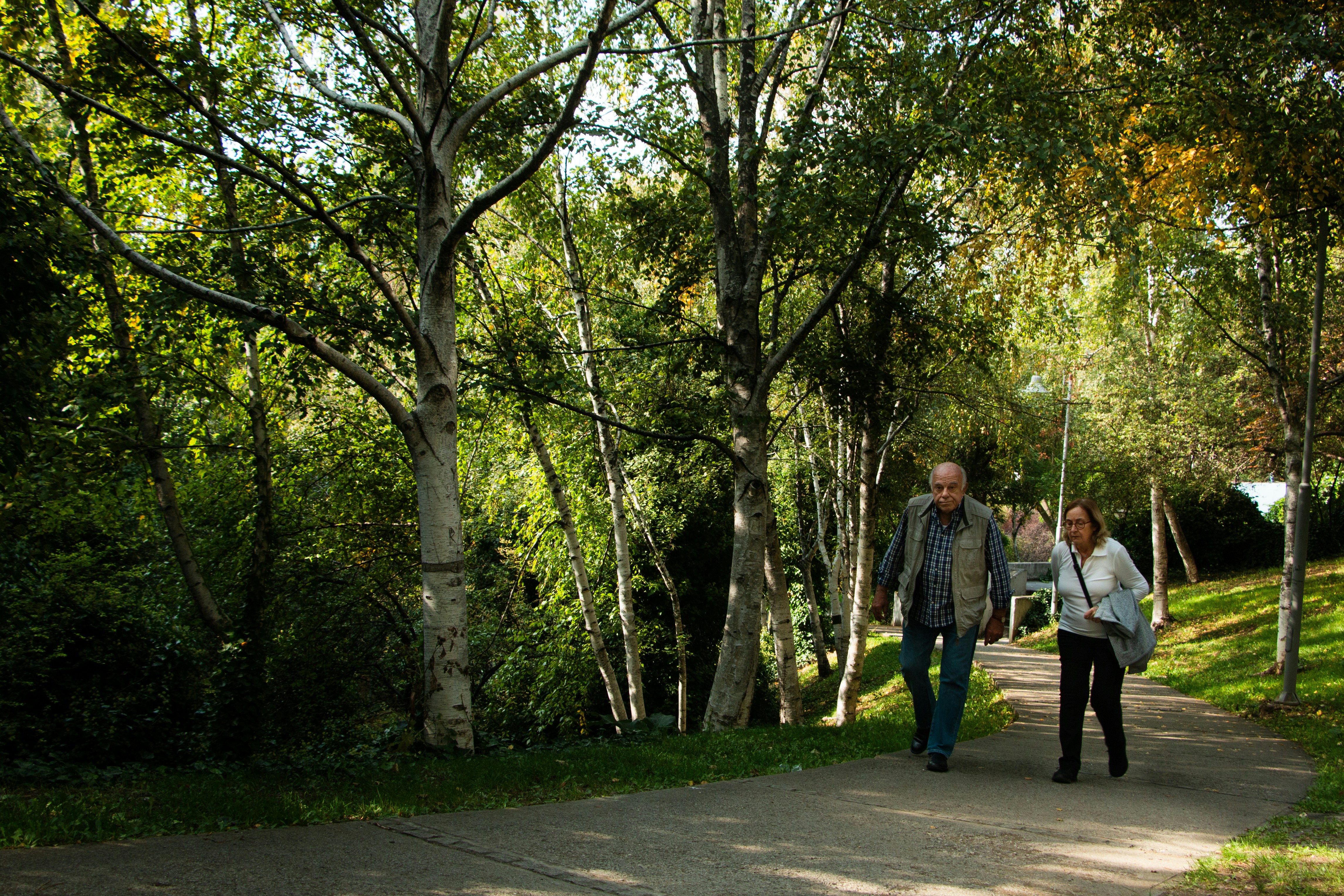Two adults walking along a leafy paved path