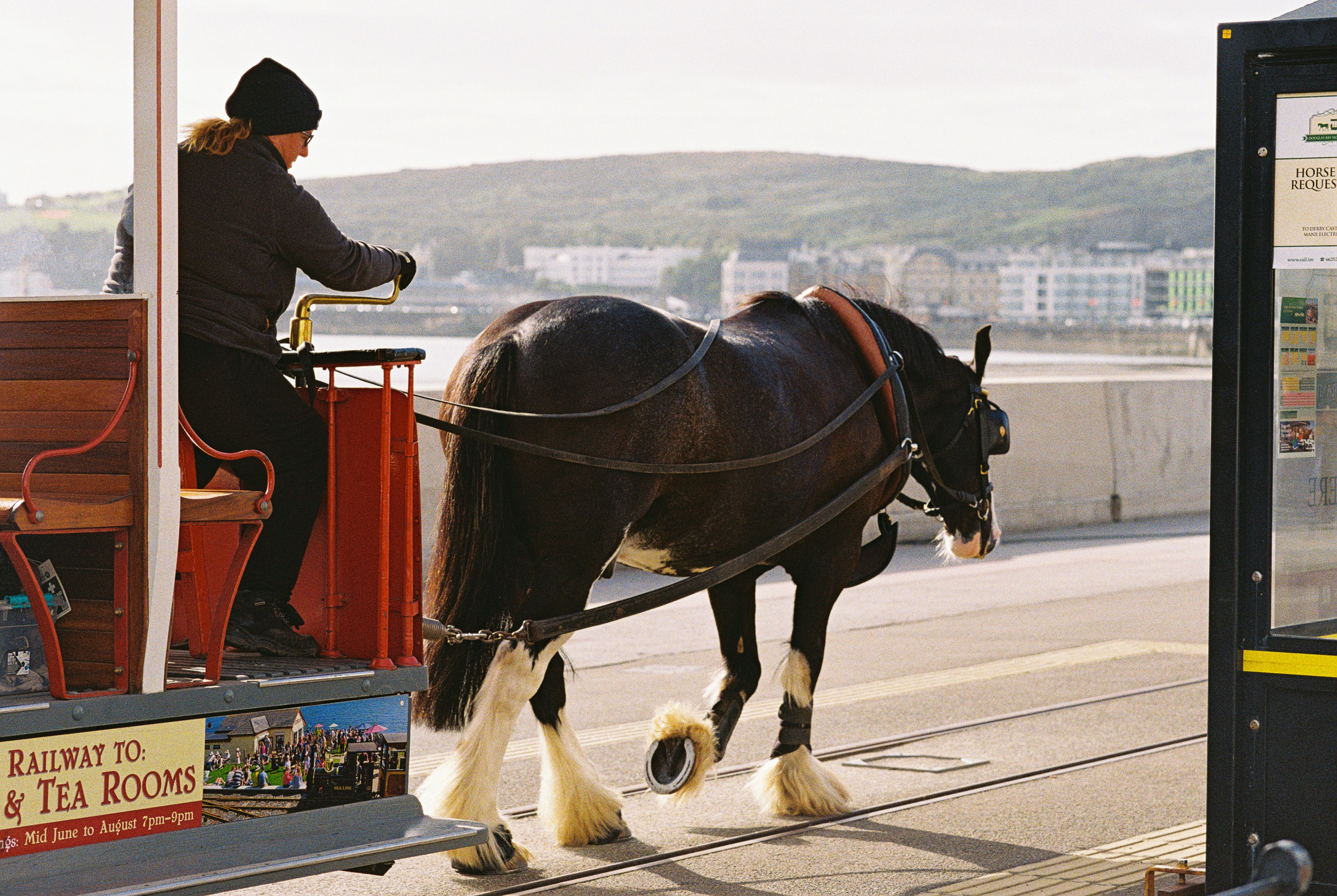 A person driving a horse-drawn tram along tracks beside a coastal promenade