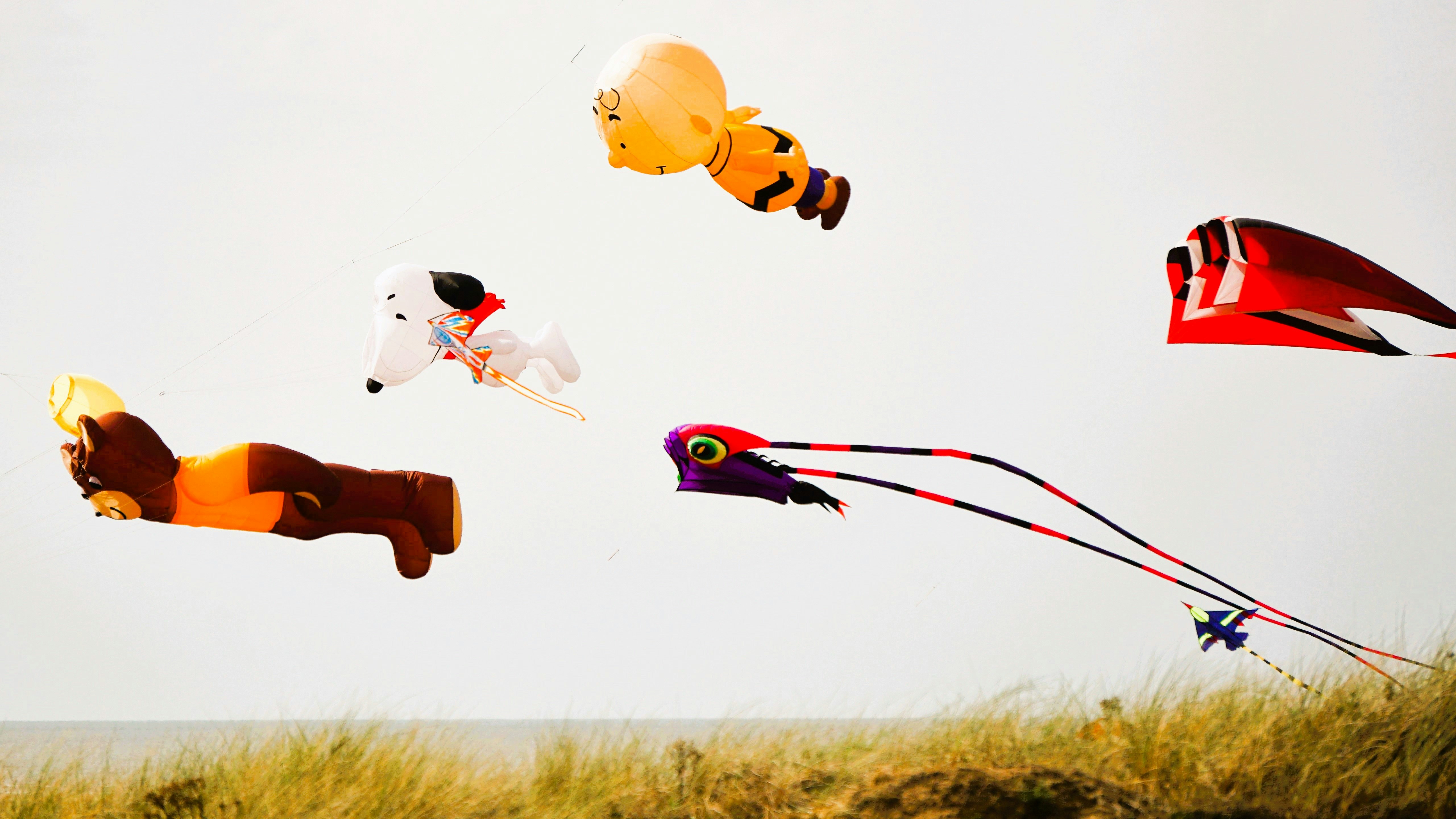 Fünf bunte Charakterdrachen, die über einer grasbewachsenen Düne nahe dem Meer fliegen