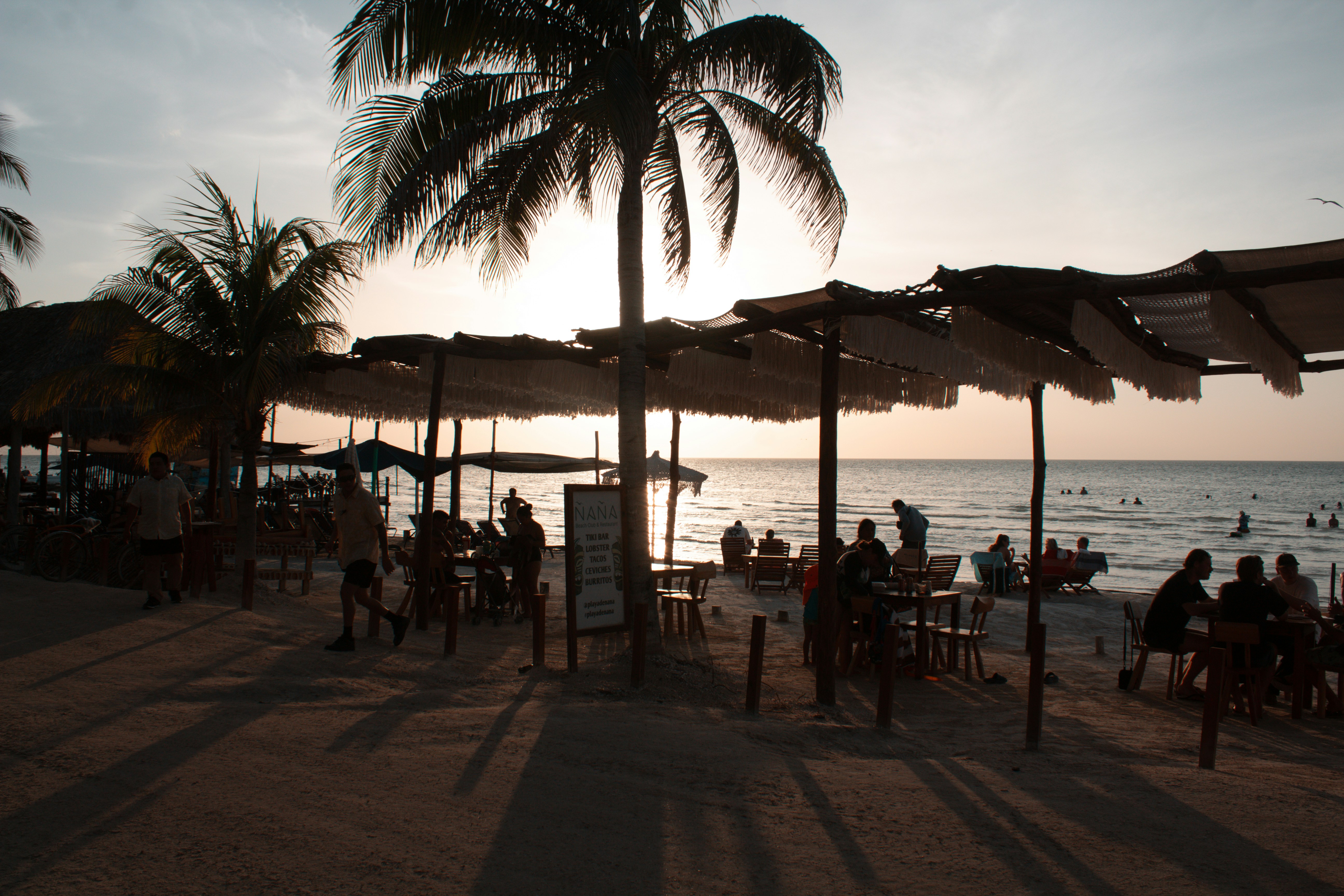 People dining at tables under palm trees on a beach at low sun