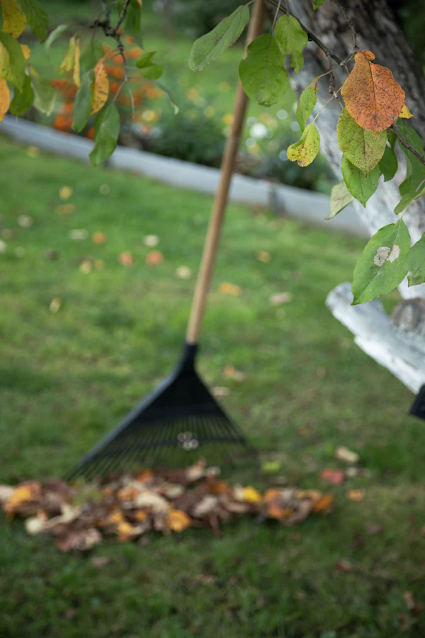 Landscape Maintenance in Bedford, TX