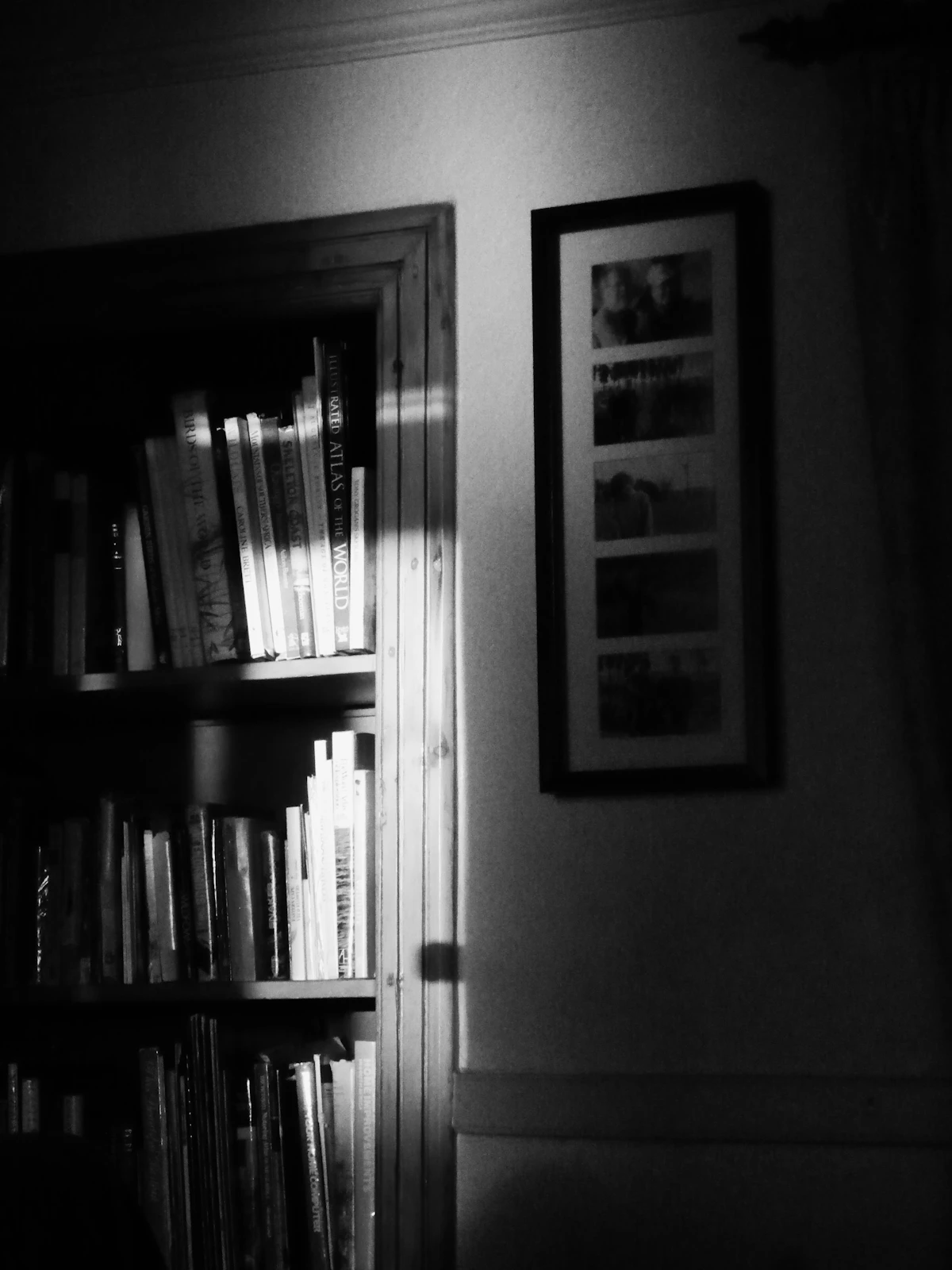 Rak buku kayu berisi buku