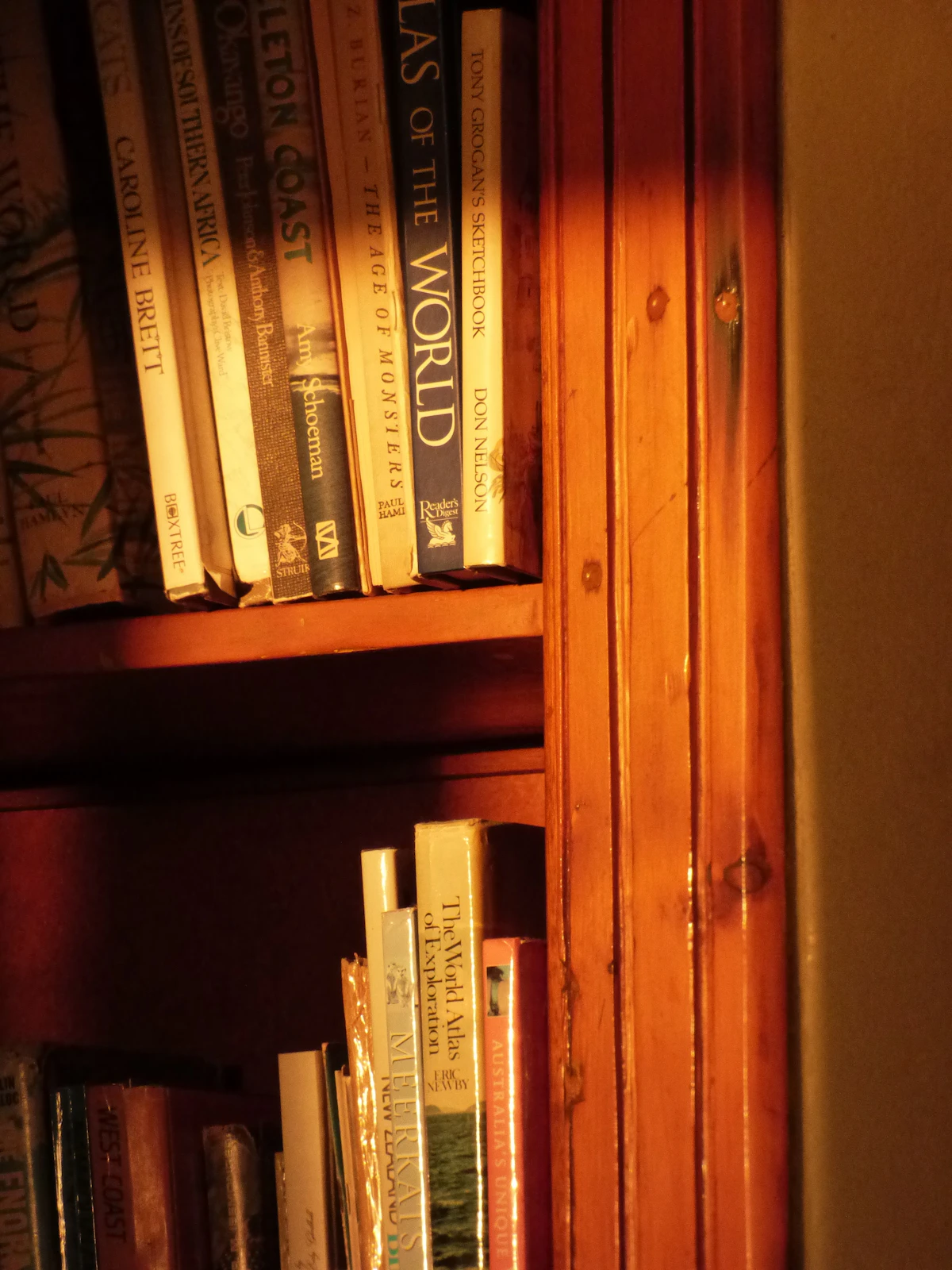Buku-buku di rak kayu perpustakaan rumah