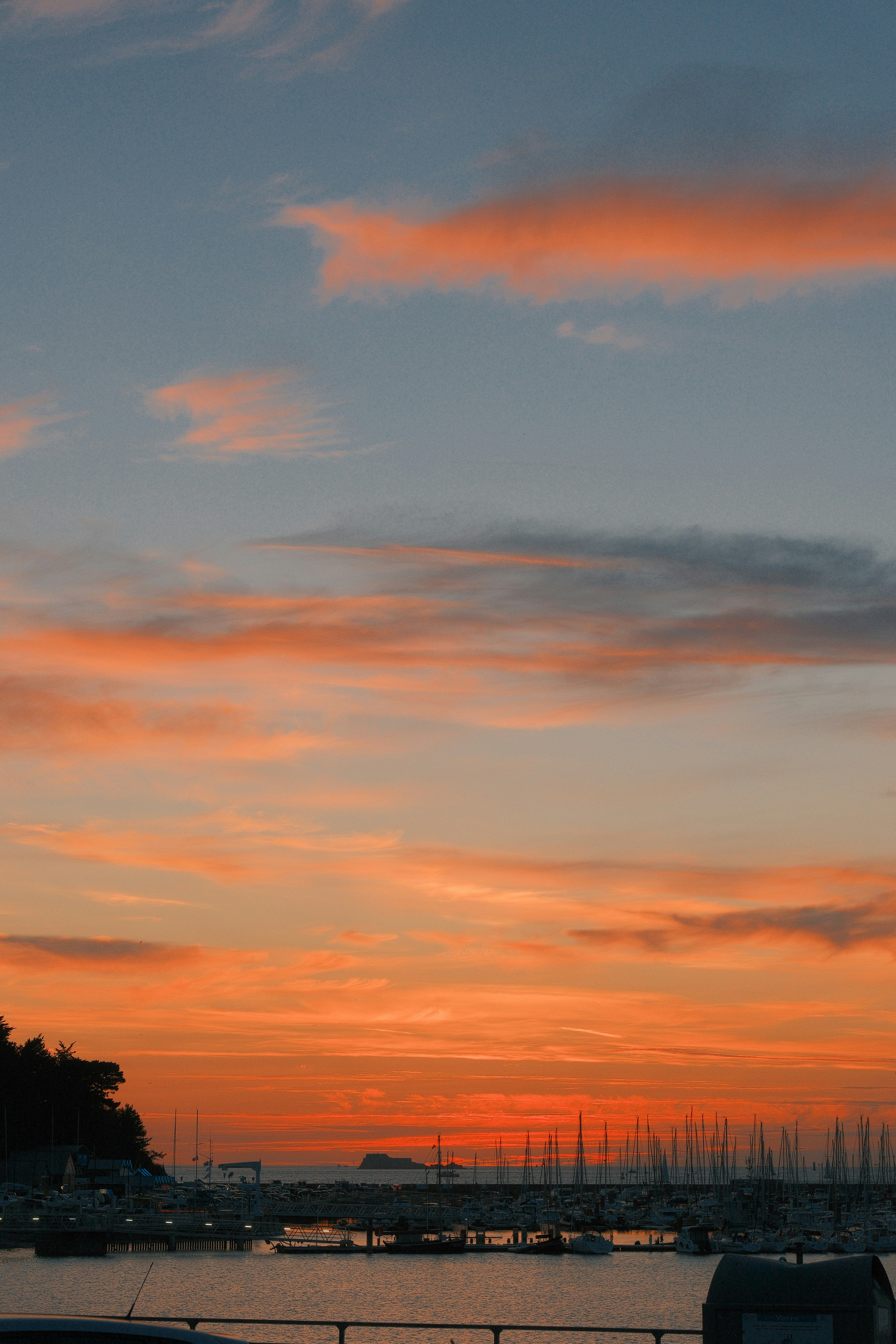 A marina with many sailboat masts silhouetted against a vibrant orange sky