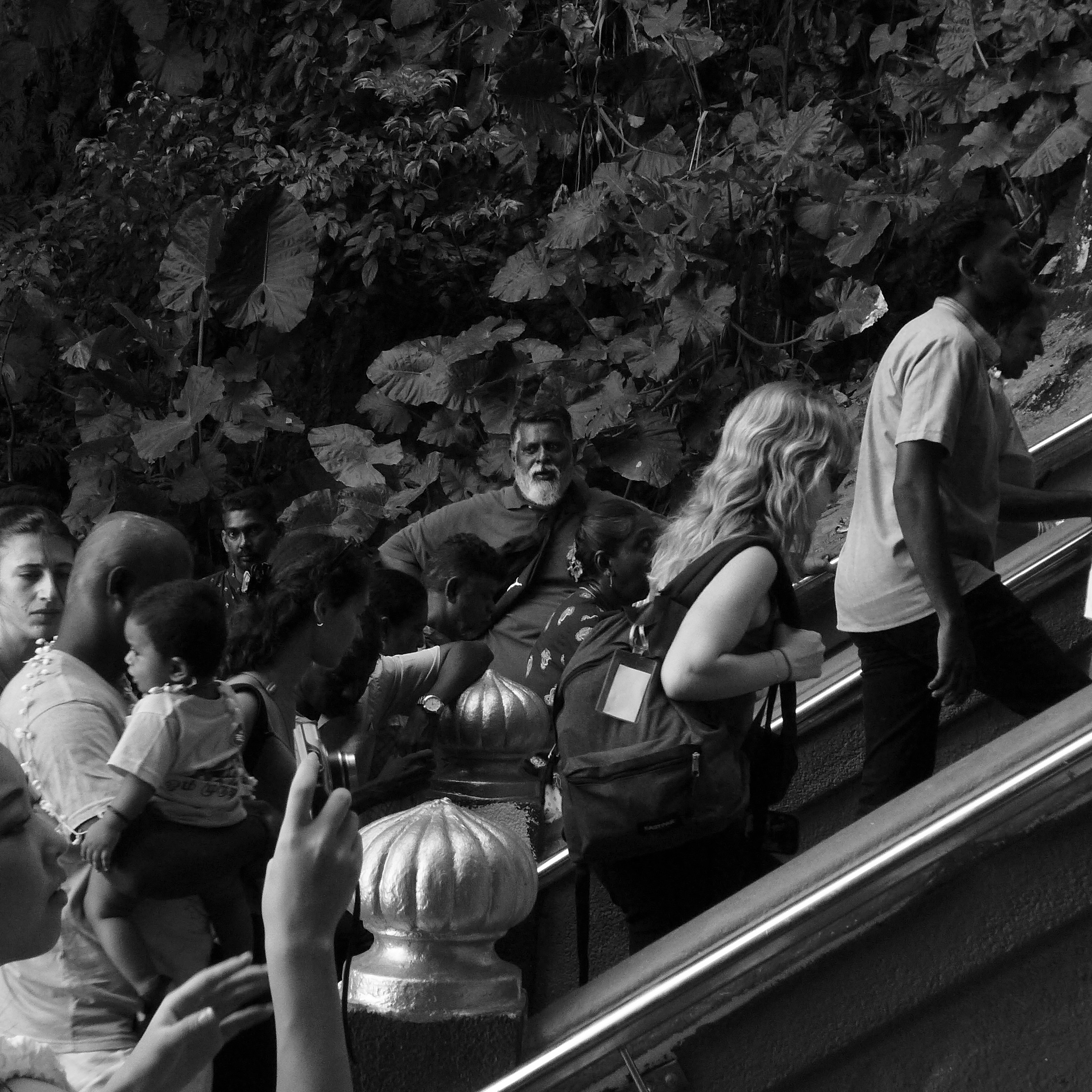 A group of people ascending a staircase with metal railings near lush foliage