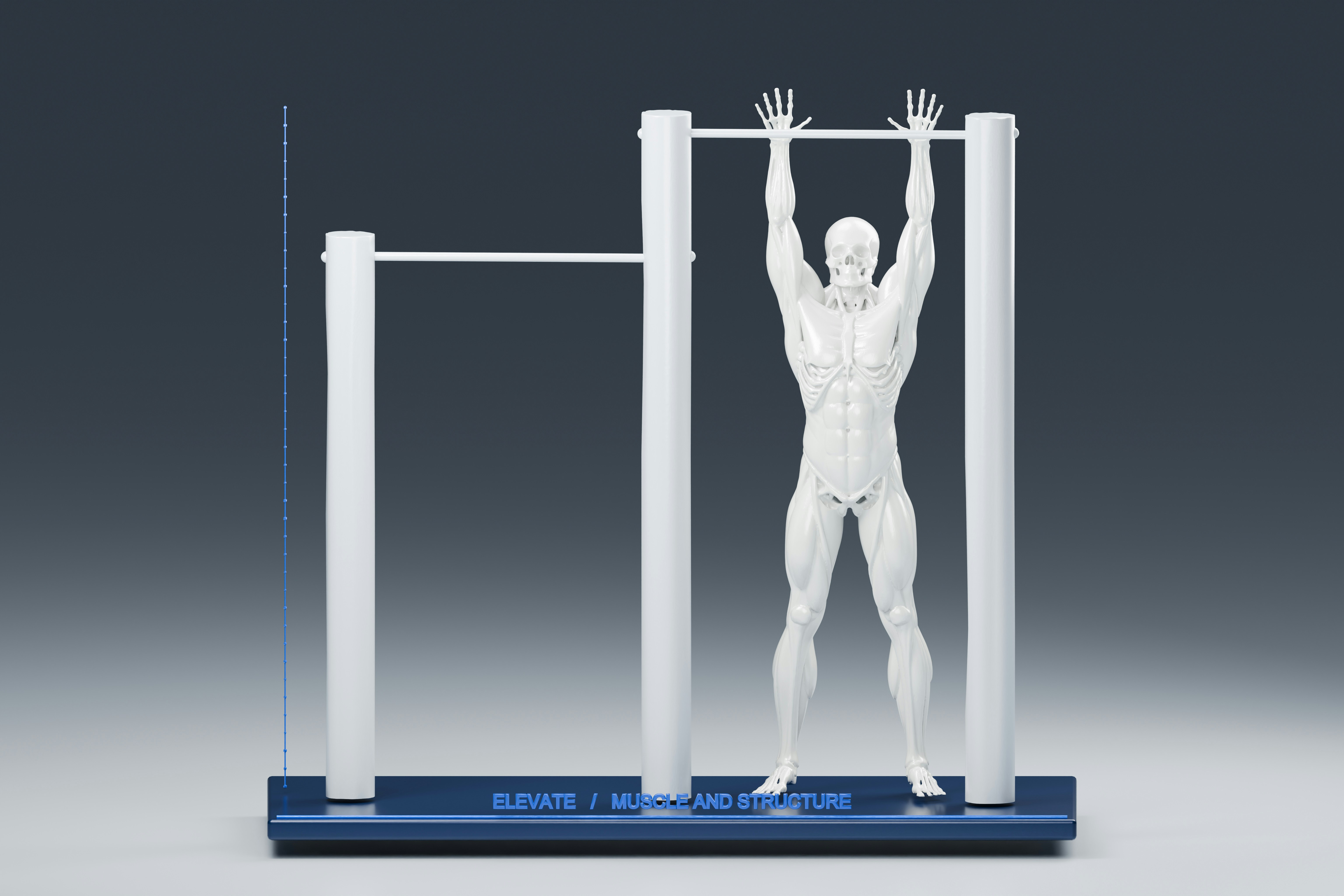 Erector Spinae Plane Block Reduces Opioid Consumption in Bariatric Surgery Patients