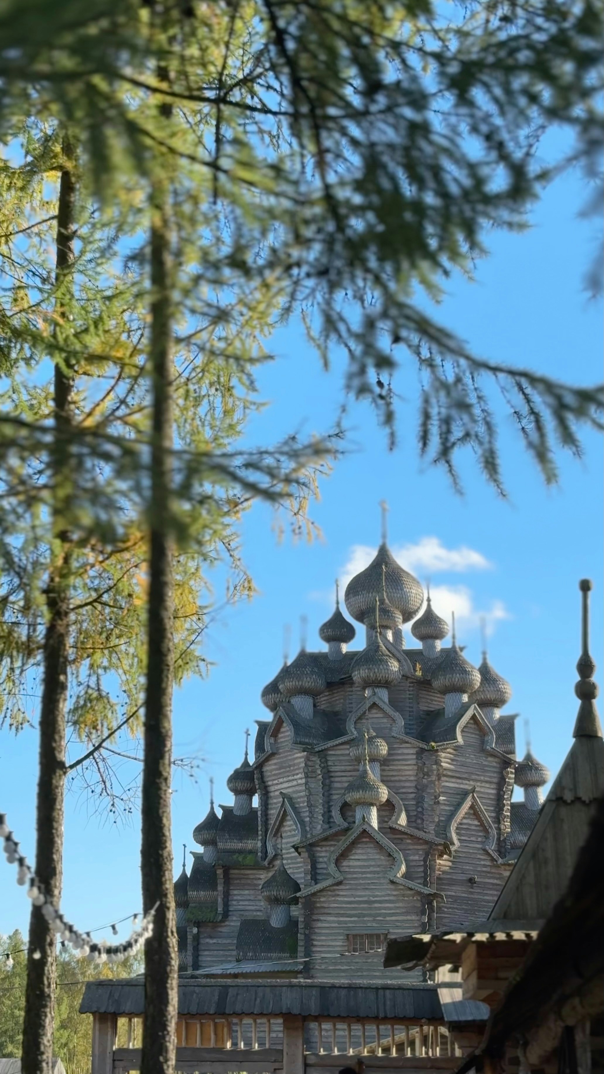 A wooden church with multiple onion domes framed by pine tree branches