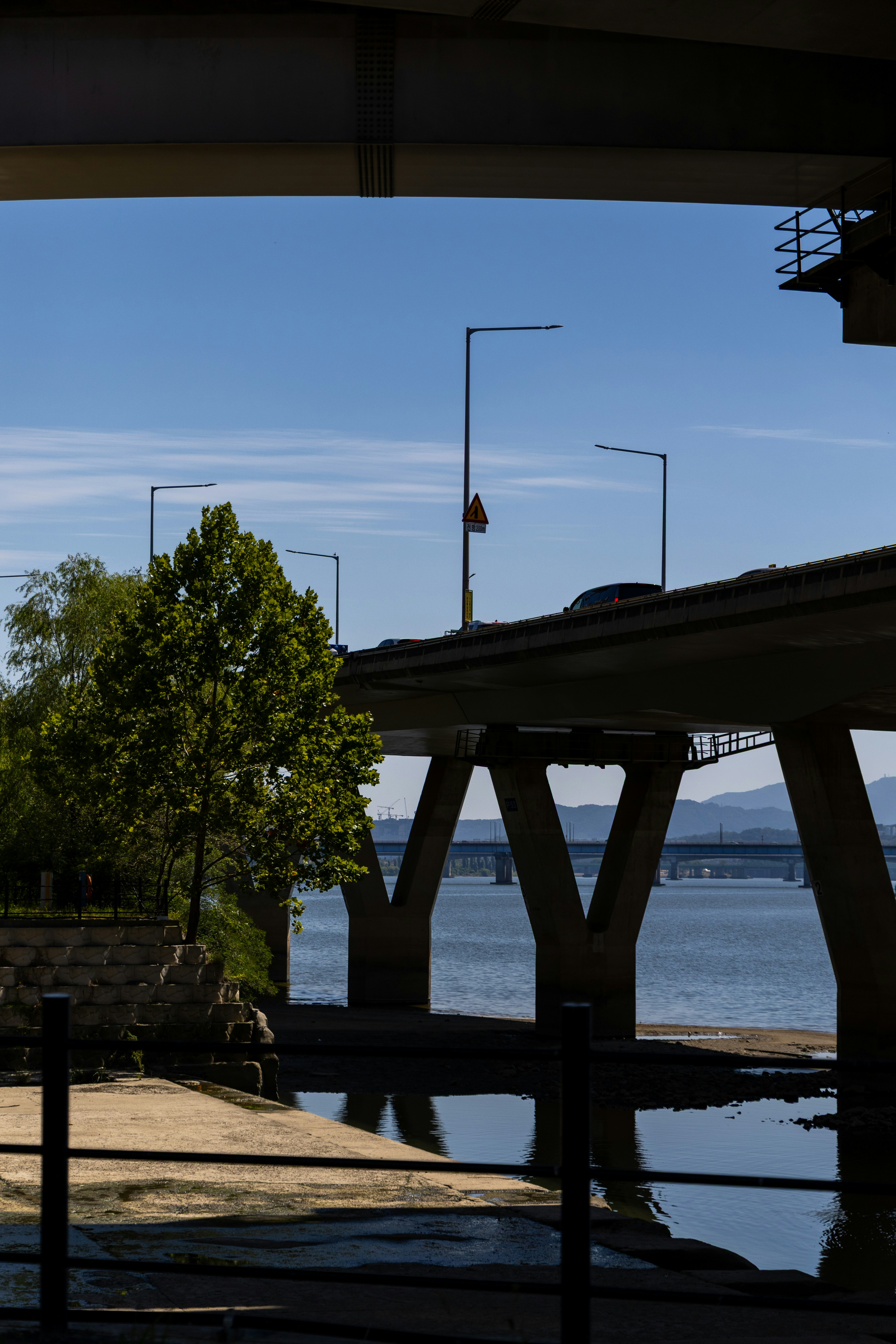 A concrete bridge over a river with a tree in the foreground