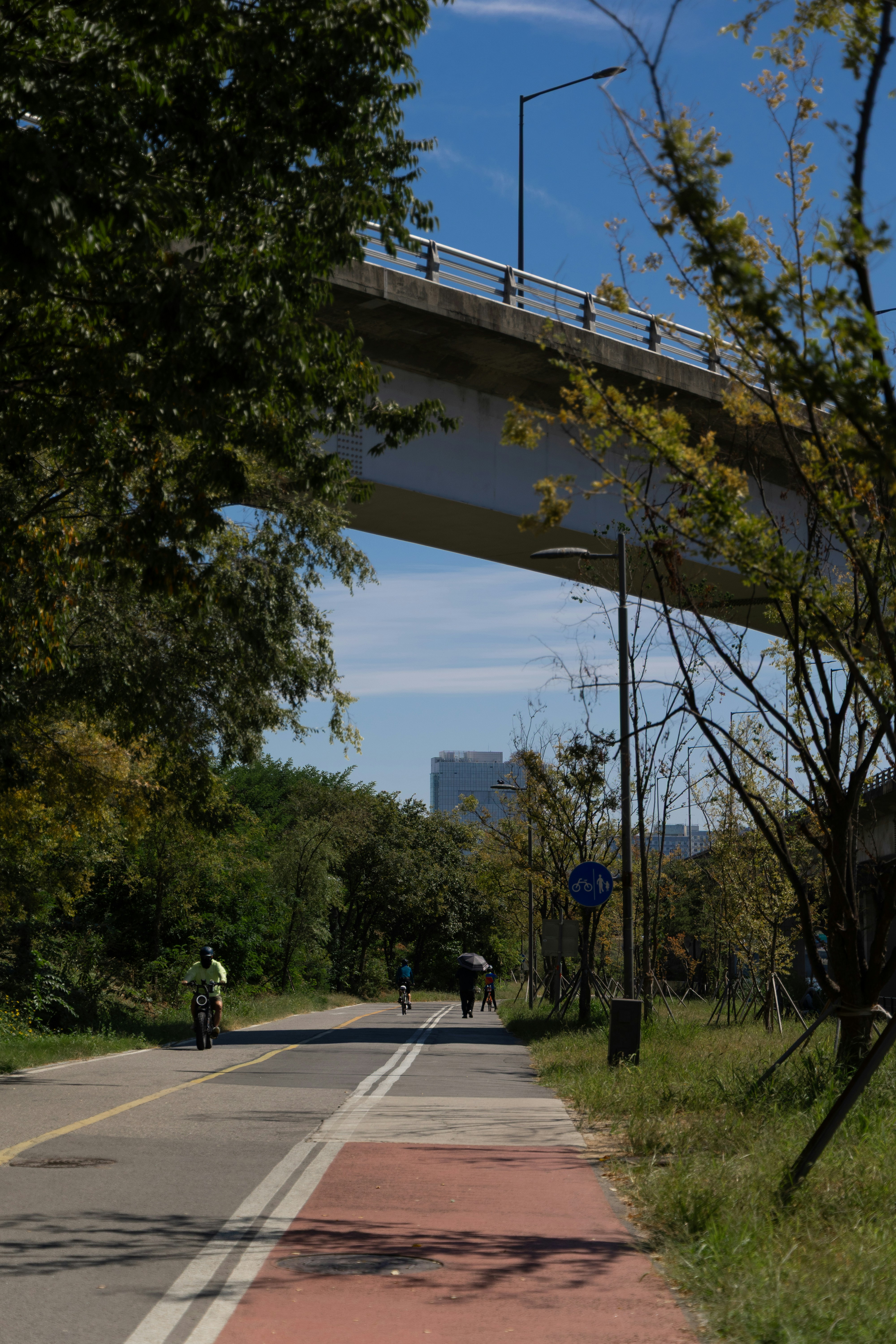 People cycling on a paved path beneath a large concrete highway overpass