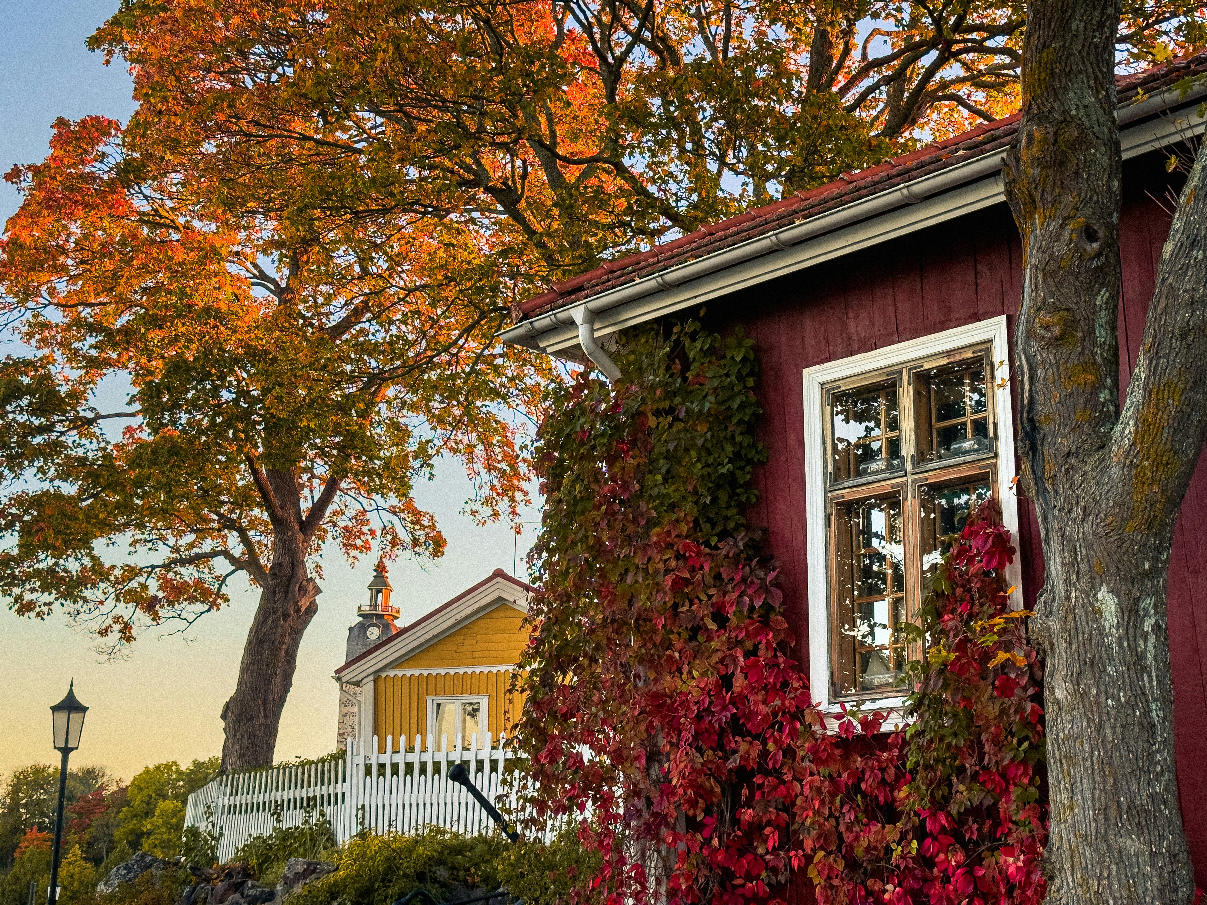 A red wooden house with ivy and a yellow house behind a white fence