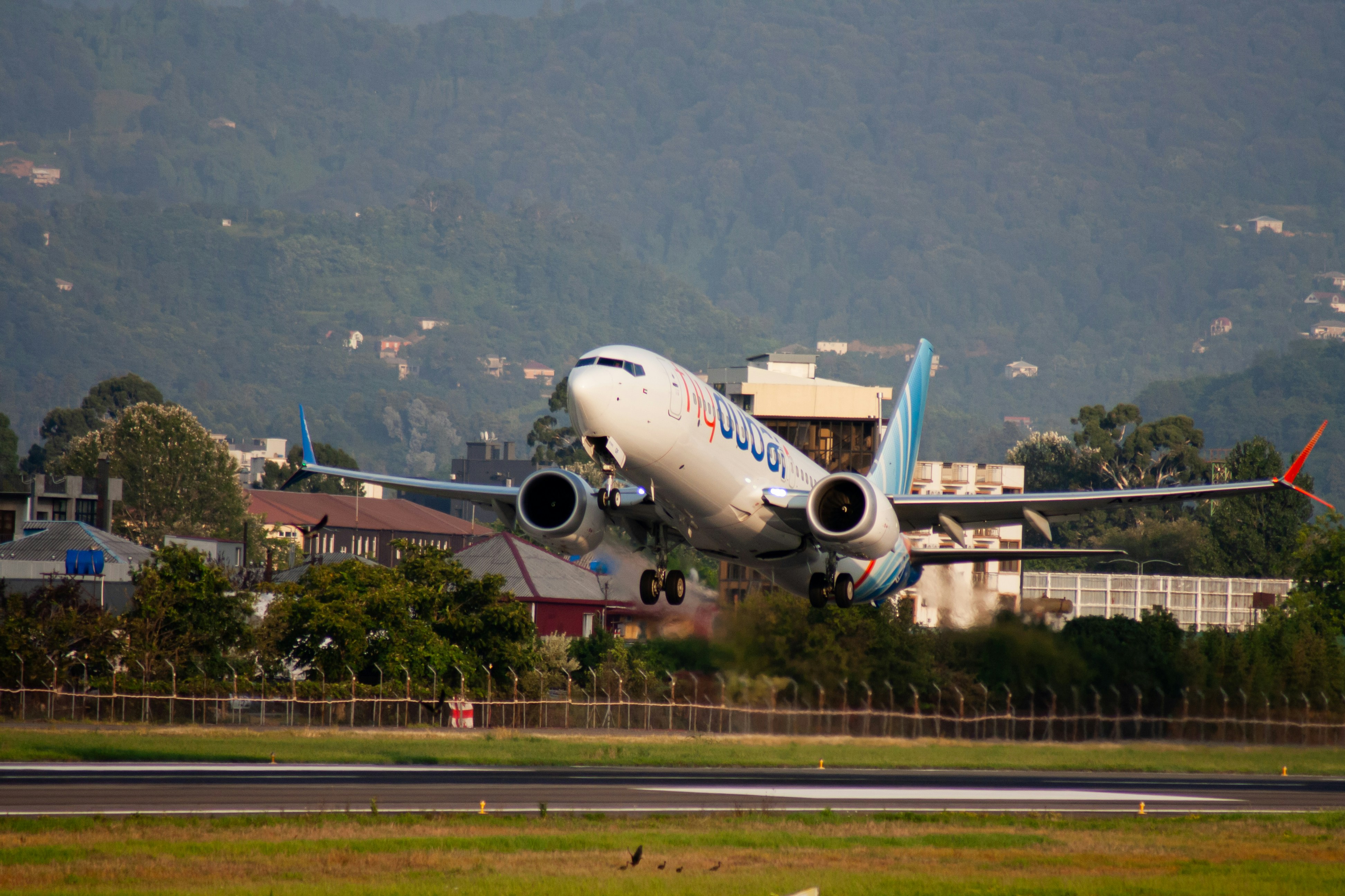 A flydubai passenger jet taking off from a runway near a green hillside
