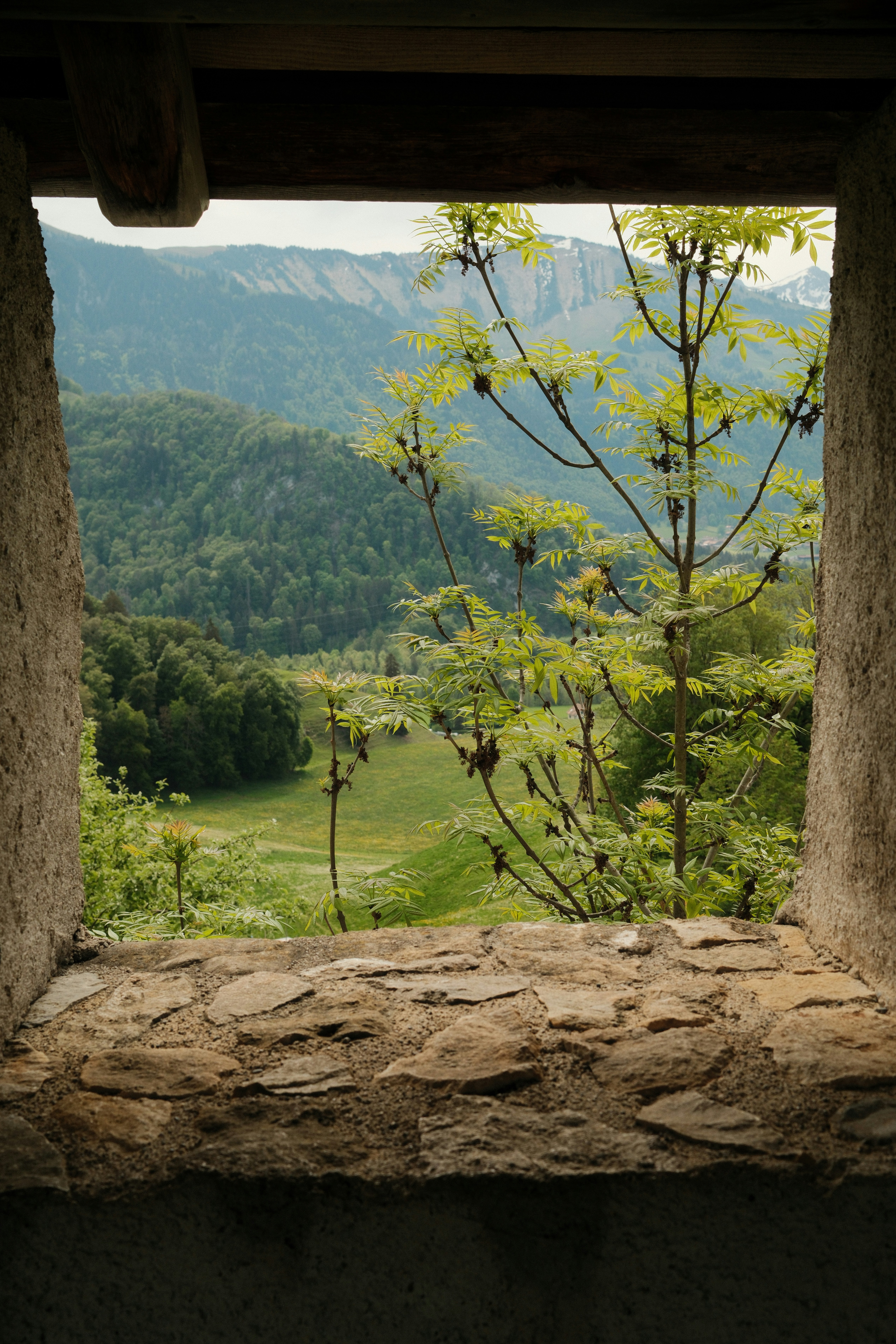 A view of a green valley and mountains through a stone window frame