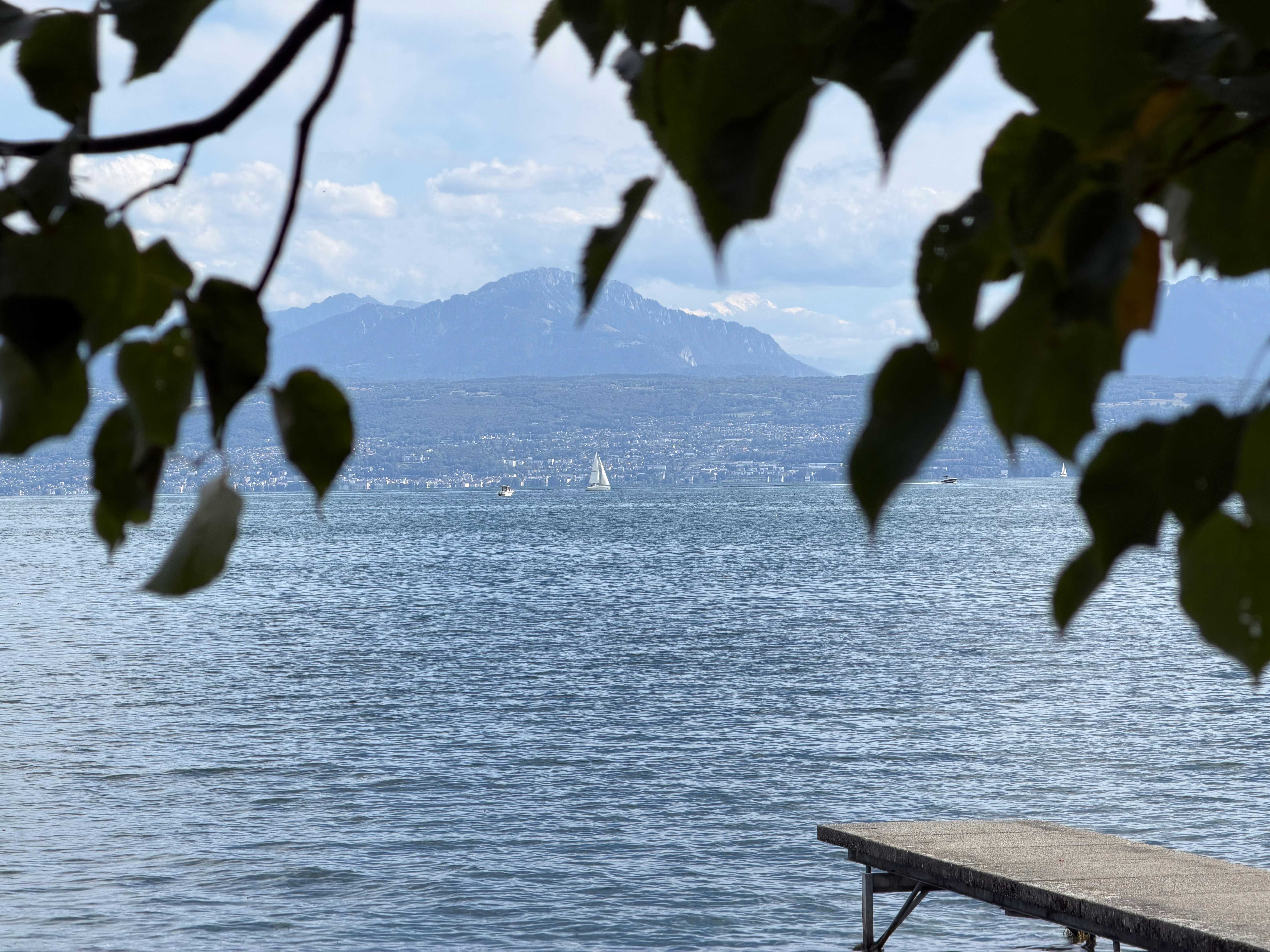 A sailboat on a lake with distant mountains framed by foreground tree leaves