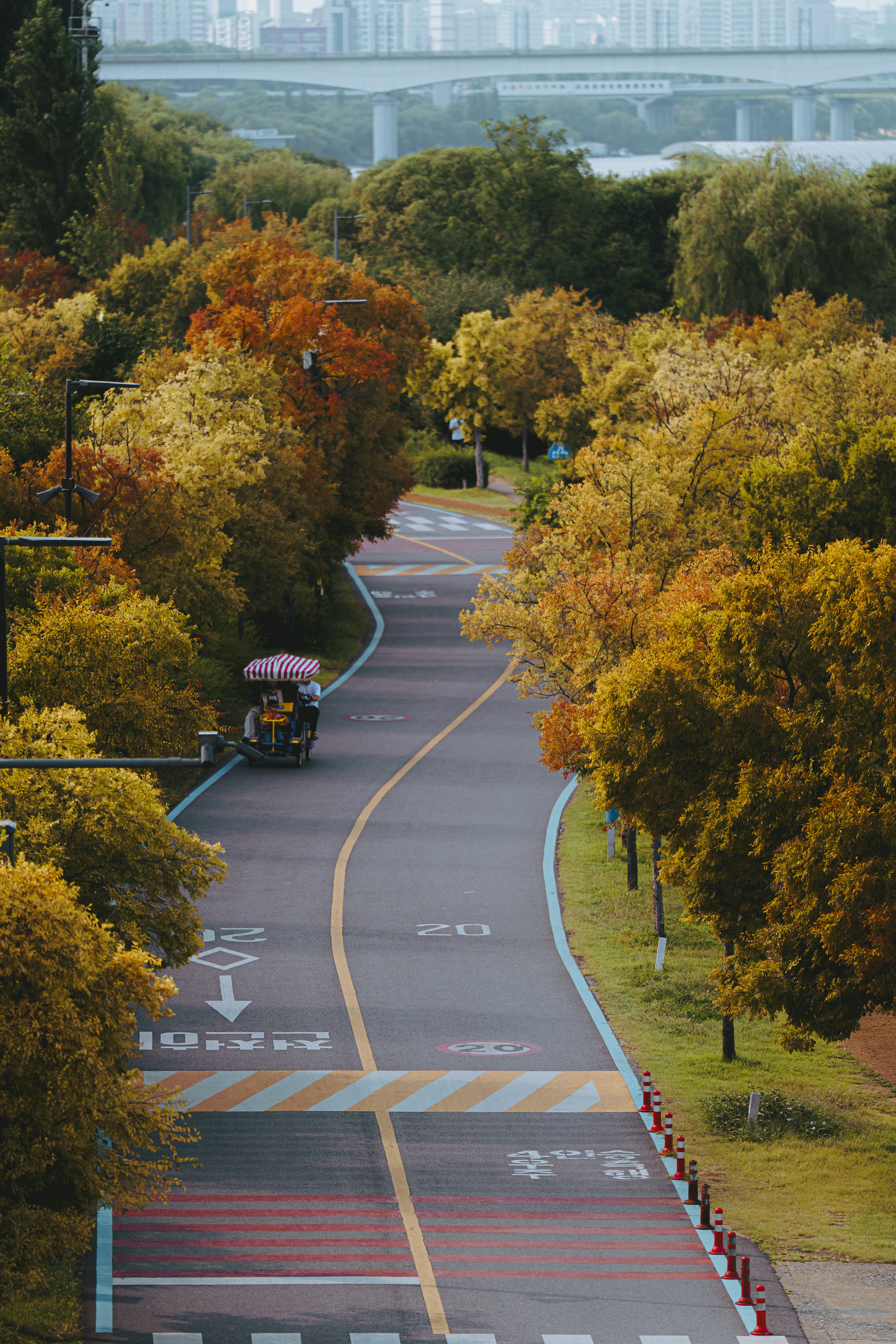 A surrey bike on a winding path lined with autumn trees in a park