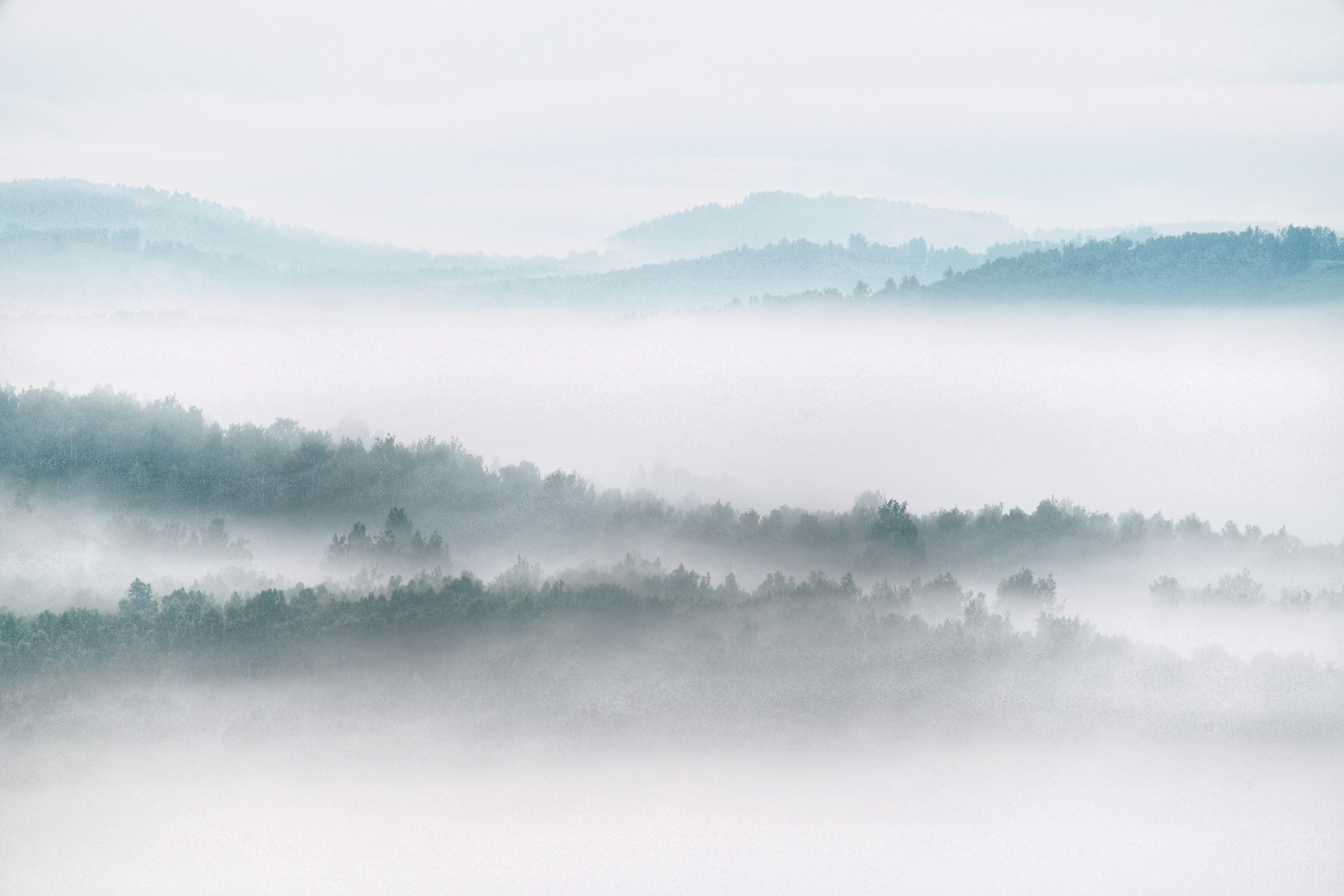 Dense fog rolling over forested hills and distant mountain ridges