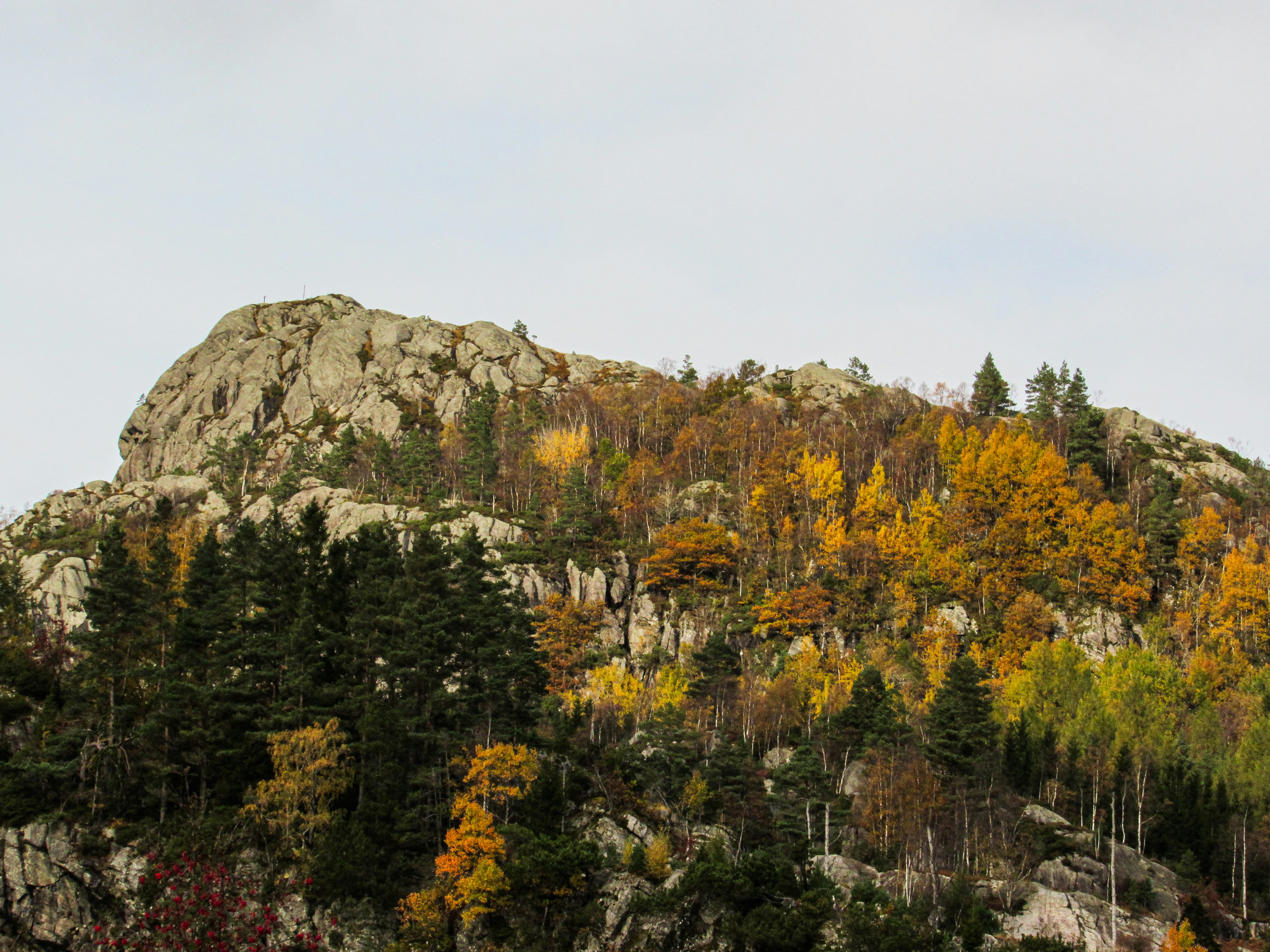 A rocky mountain slope covered in autumn trees with yellow and green foliage