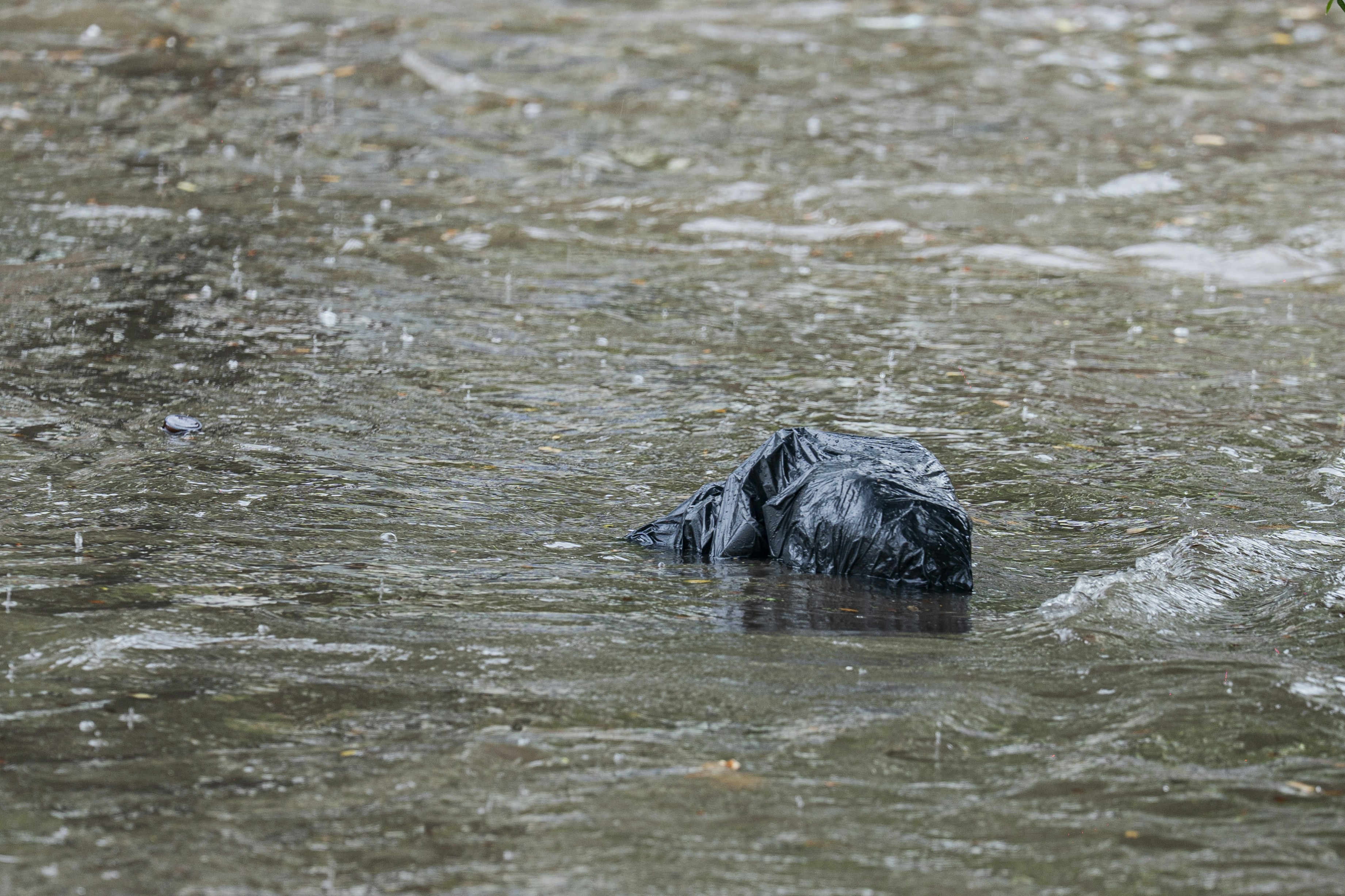 A black plastic bag floating in a rain-swollen stream with ripples