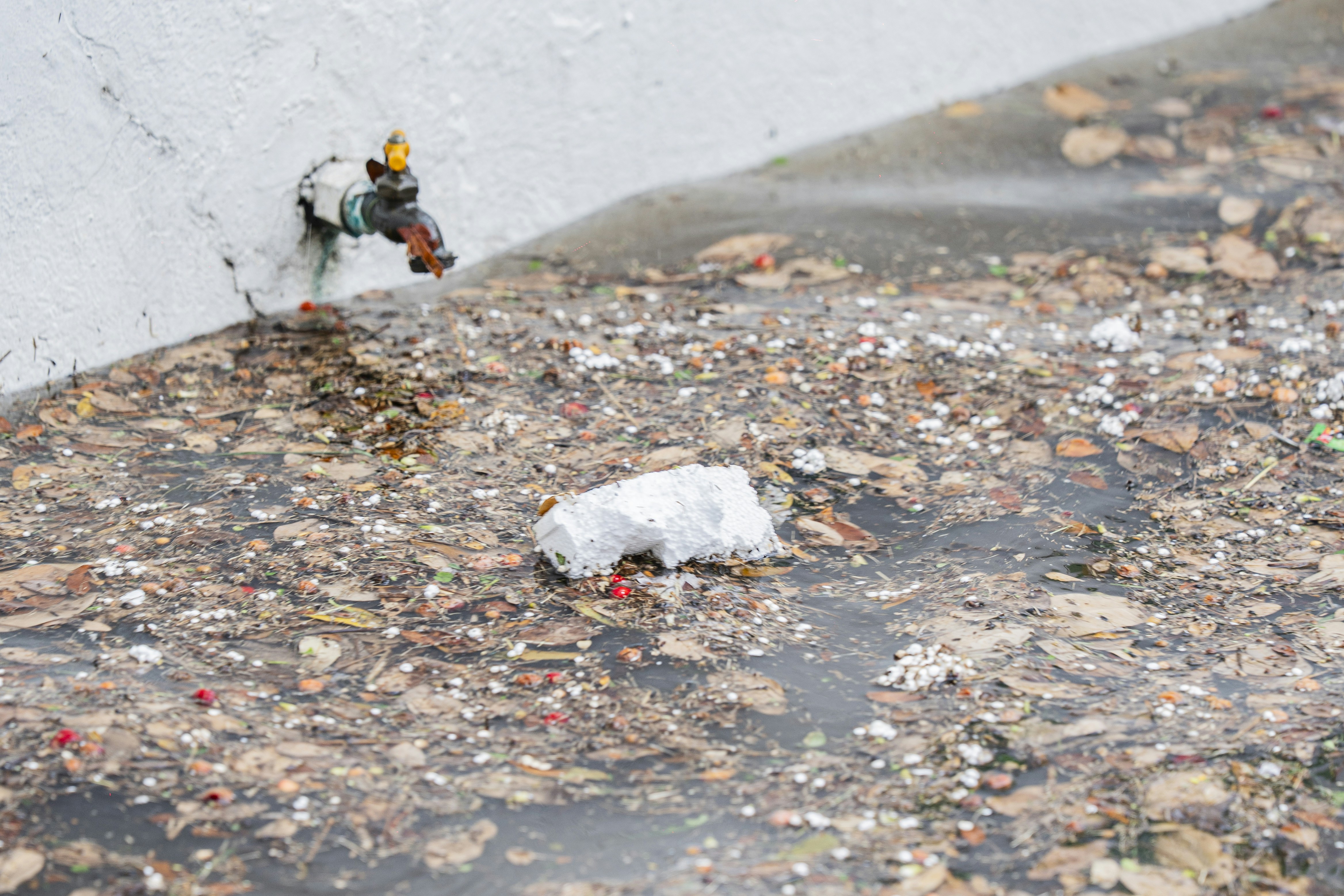 A piece of white styrofoam floating in a puddle with fallen leaves and debris
