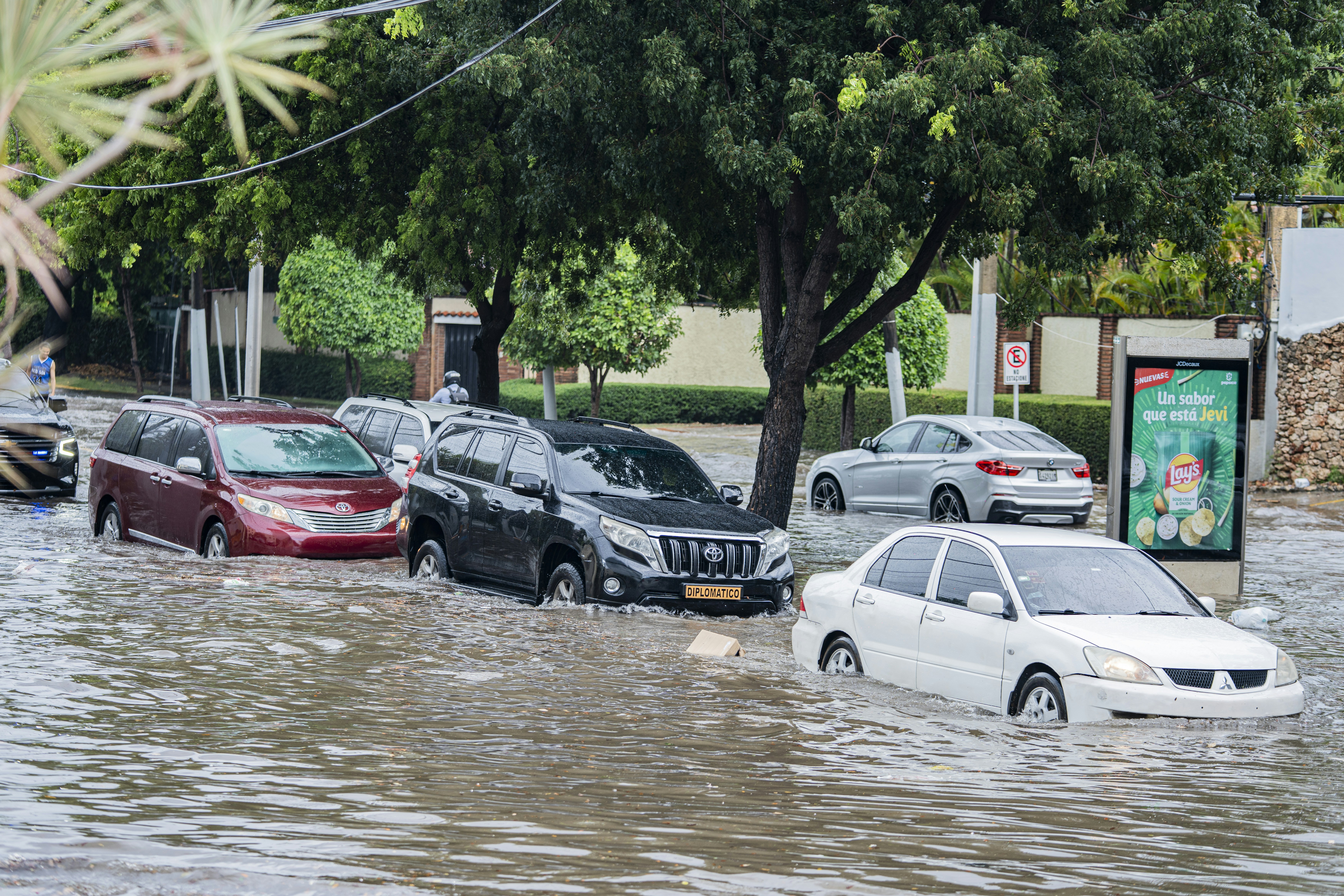Cars driving through a flooded city street lined with trees