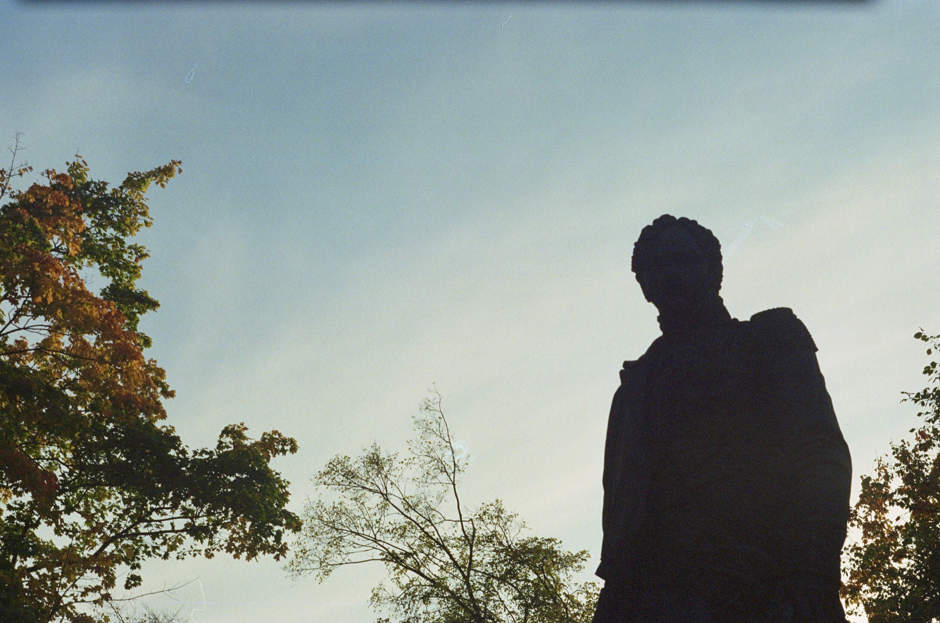 A statue silhouette against a pale sky with autumn leaves on the left