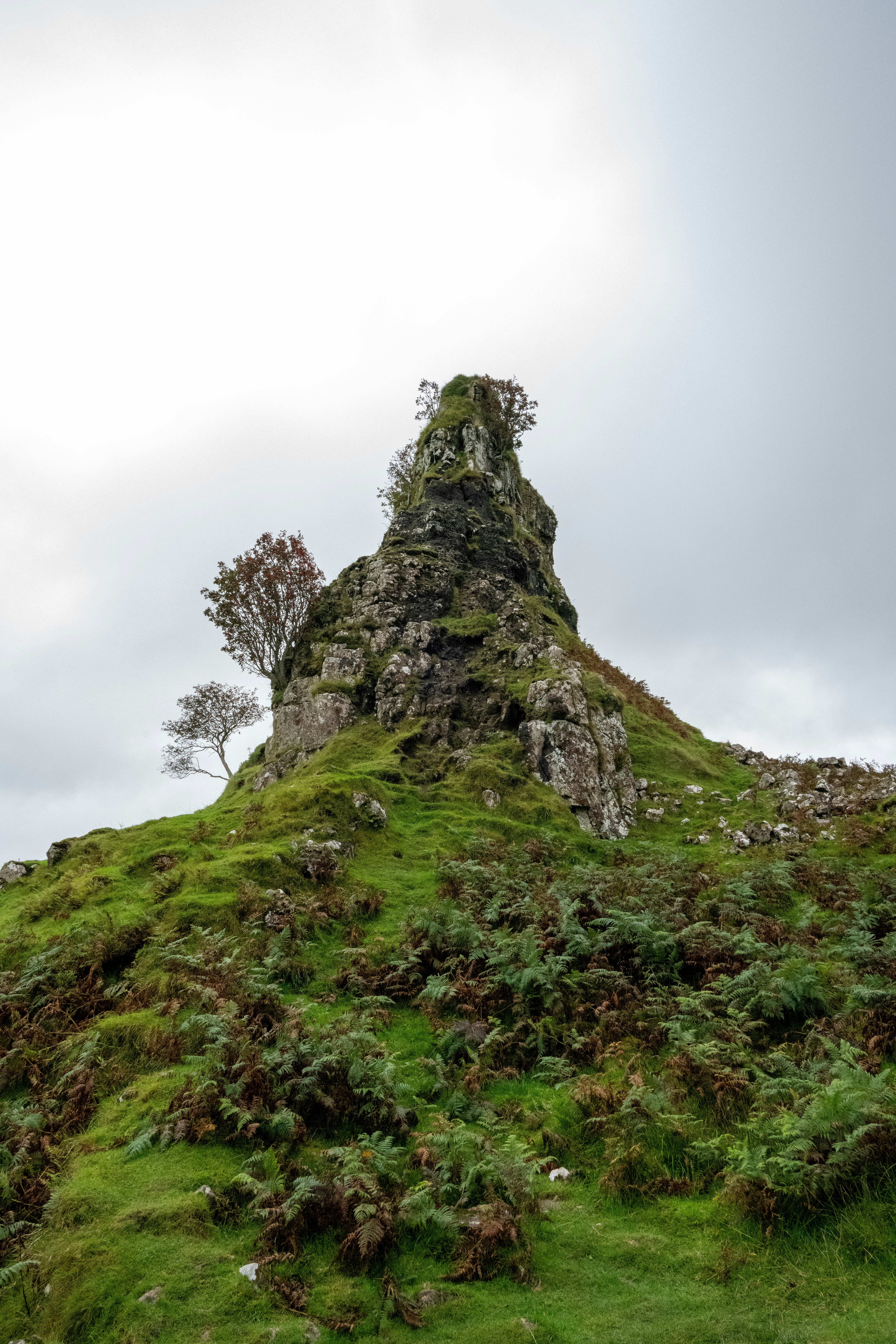 A jagged rocky outcrop covered in green grass and ferns under a cloudy sky