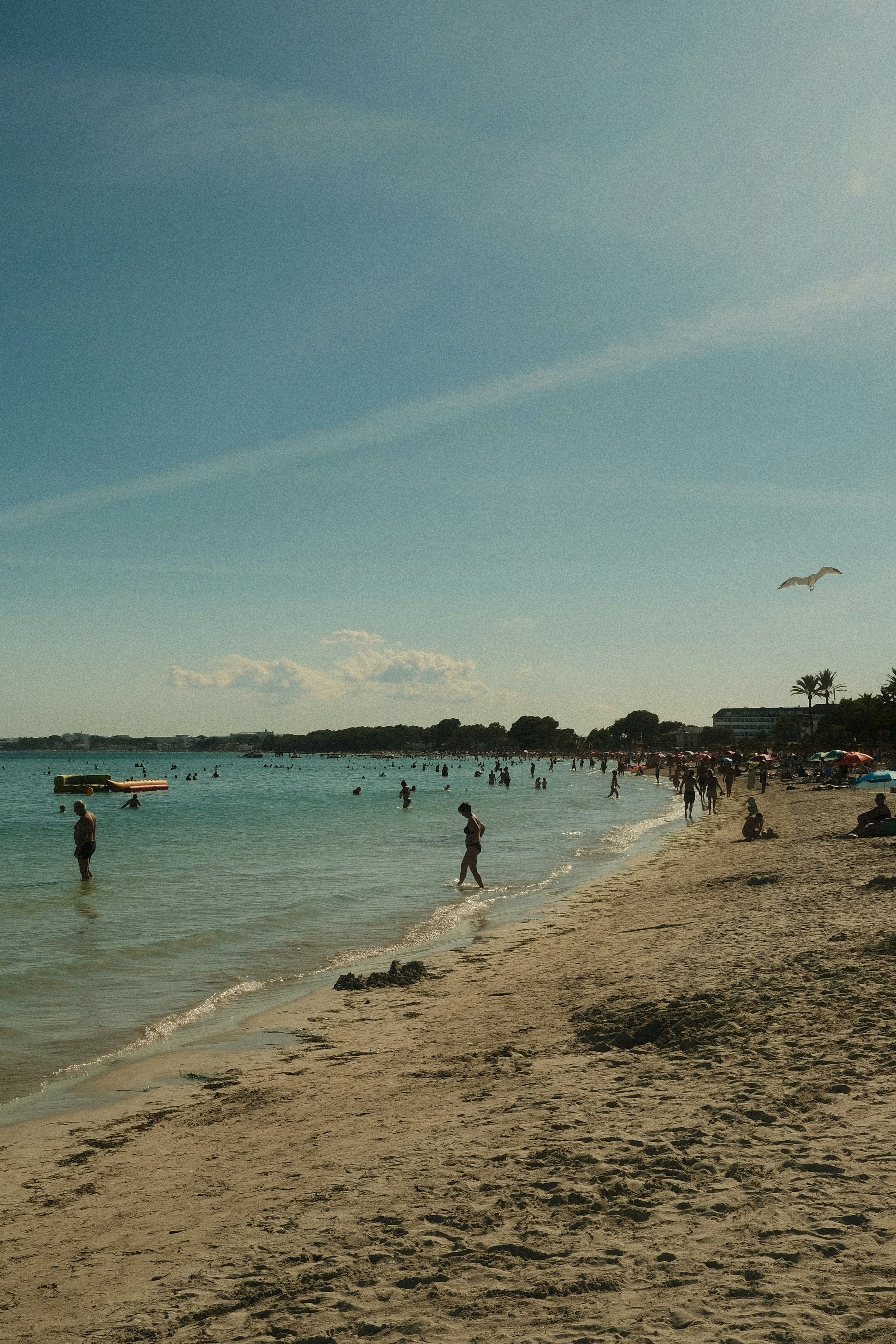 People swimming and relaxing on a sandy beach under a clear blue sky