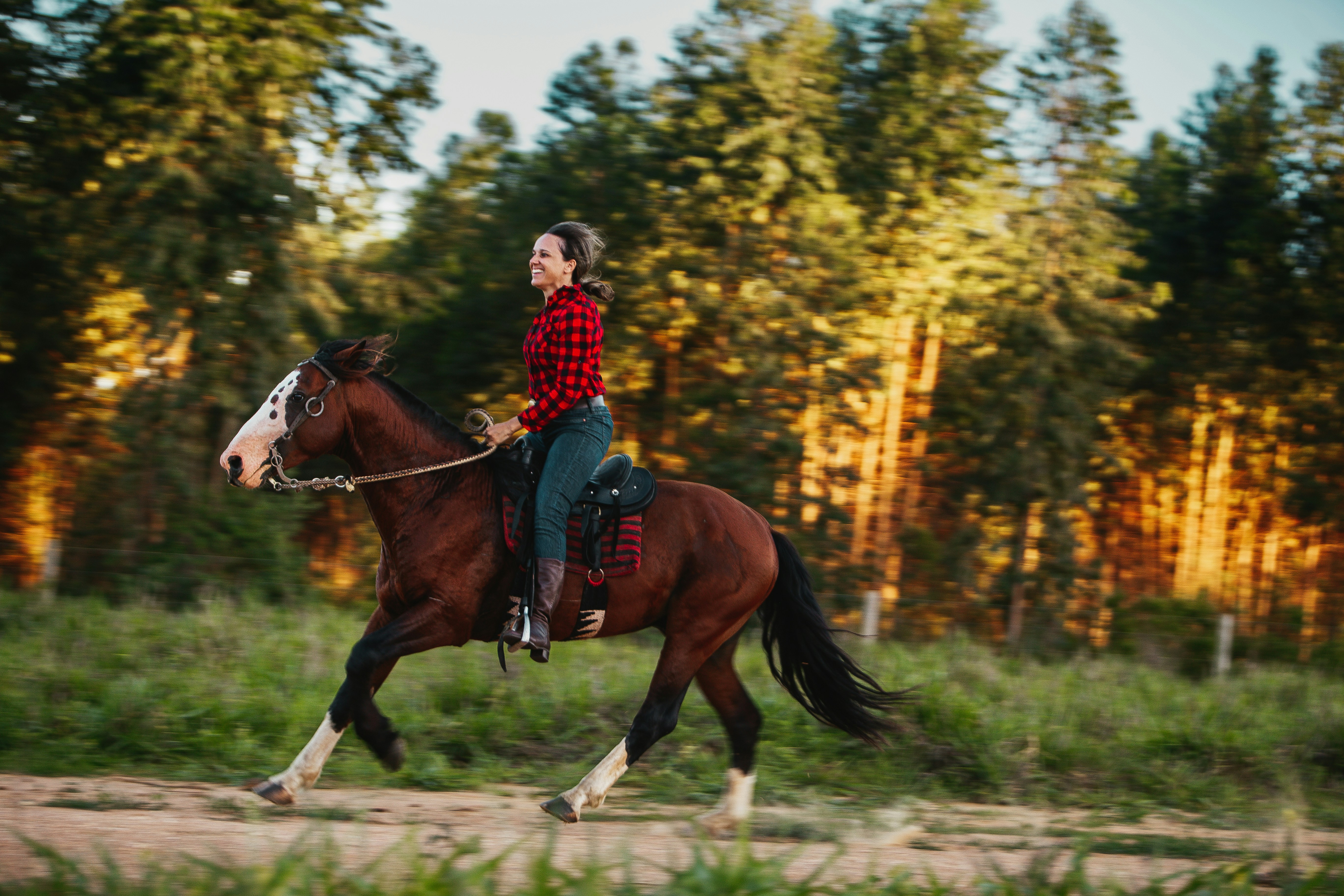 A woman in a red plaid shirt riding a brown horse past pine trees