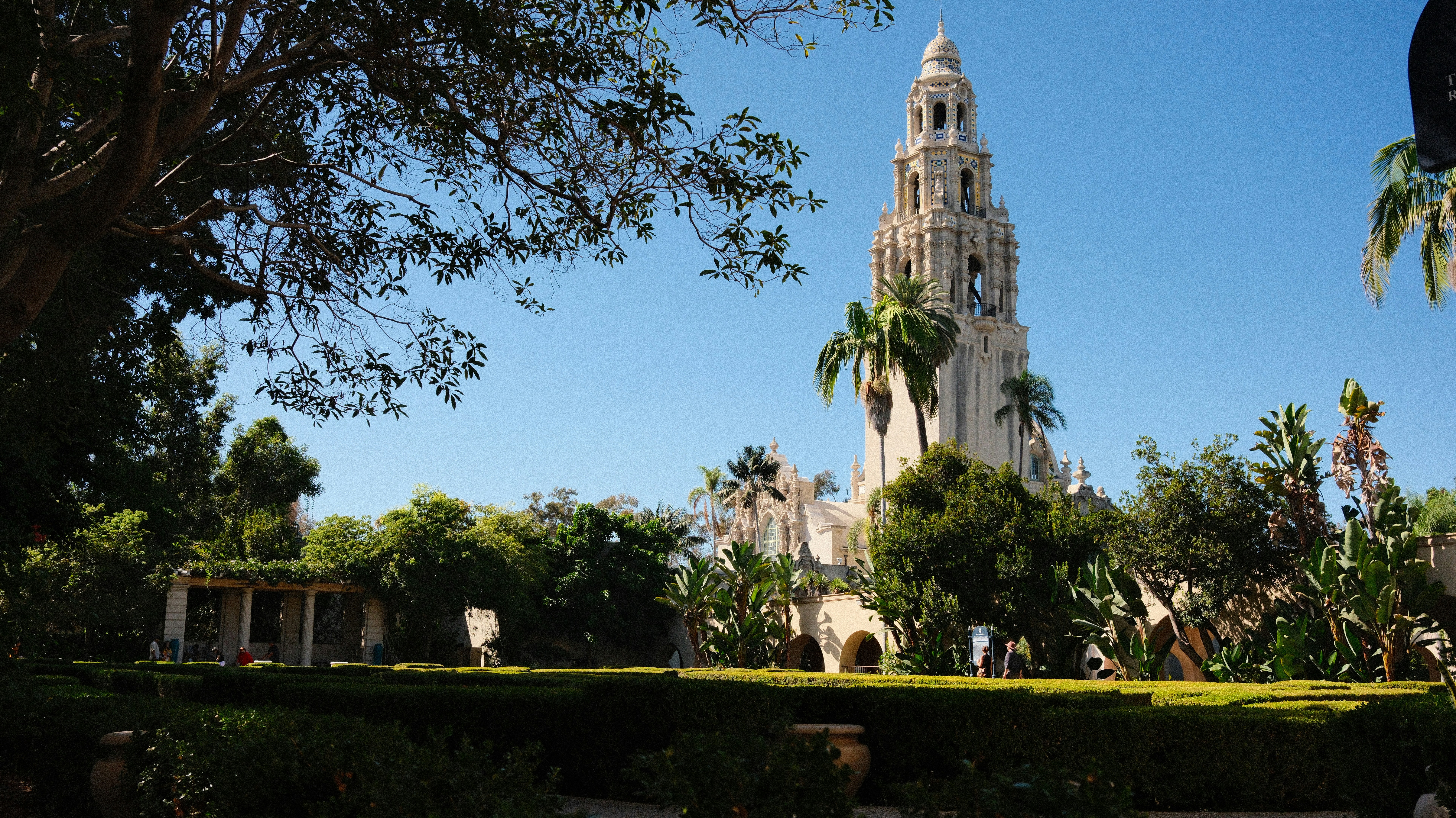 The California Tower rising above lush green gardens in Balboa Park, San Diego
