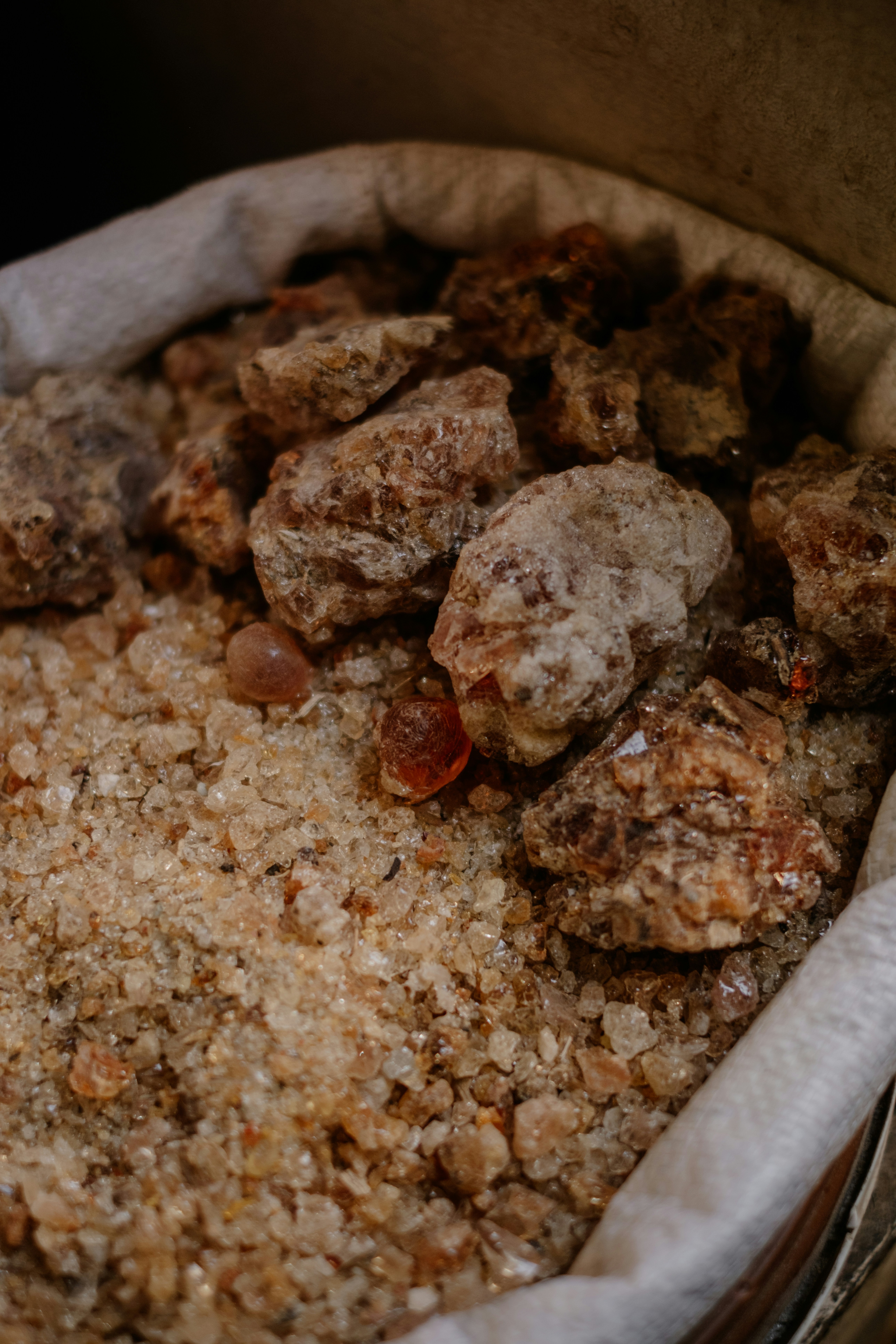 Boswellia serrata