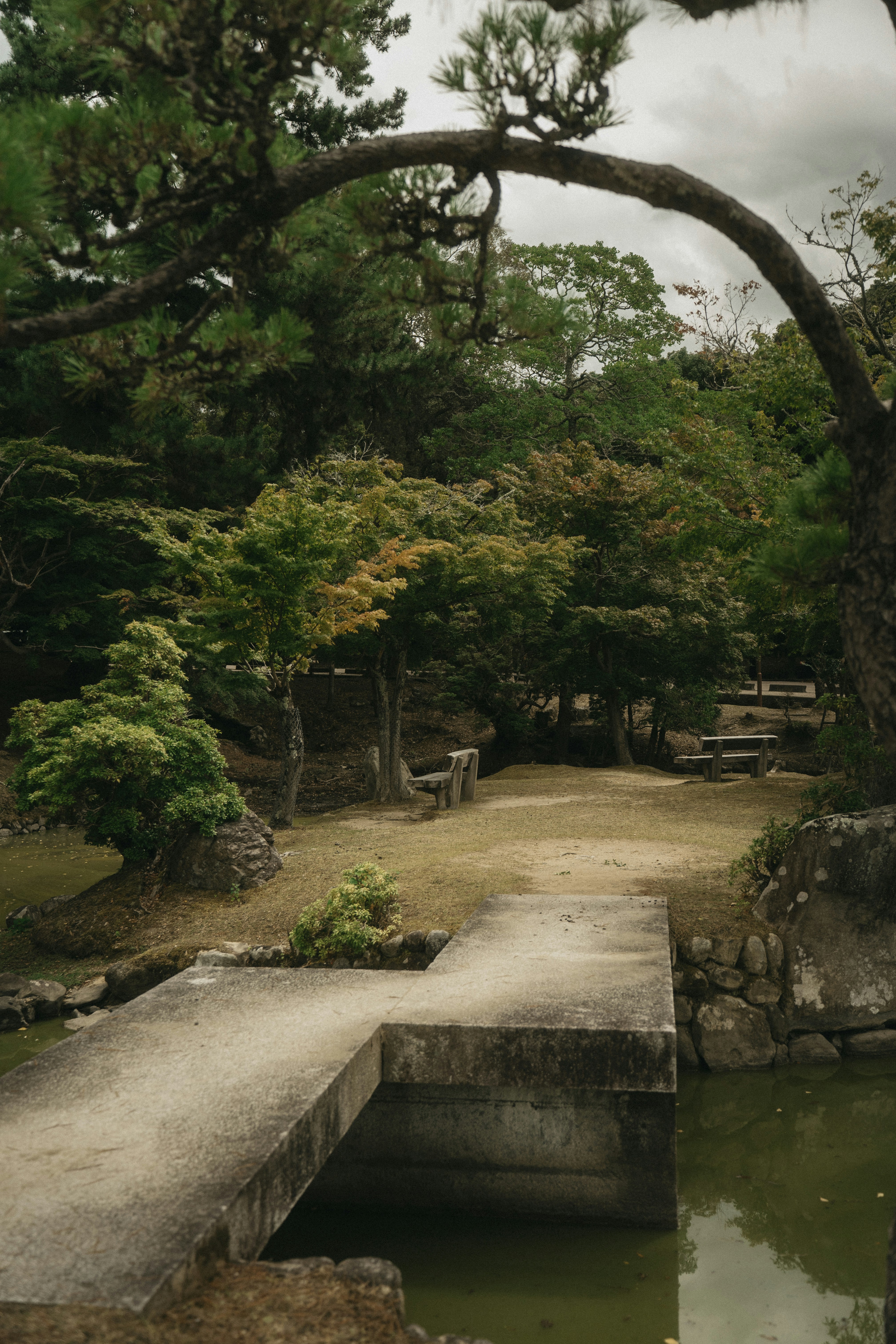 A concrete bridge over a pond in a Japanese garden with trees