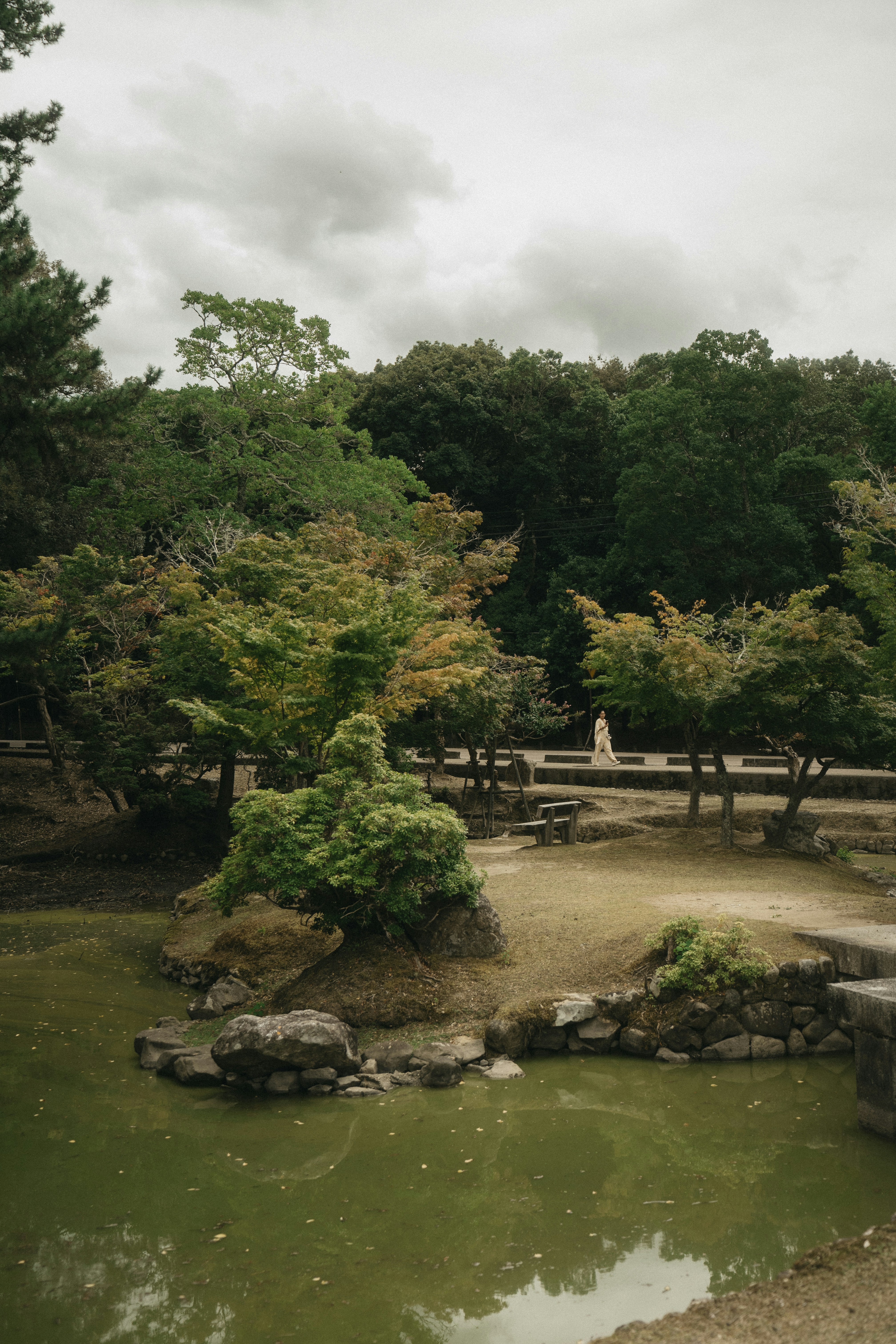 The Deer Bowing Phenomenon