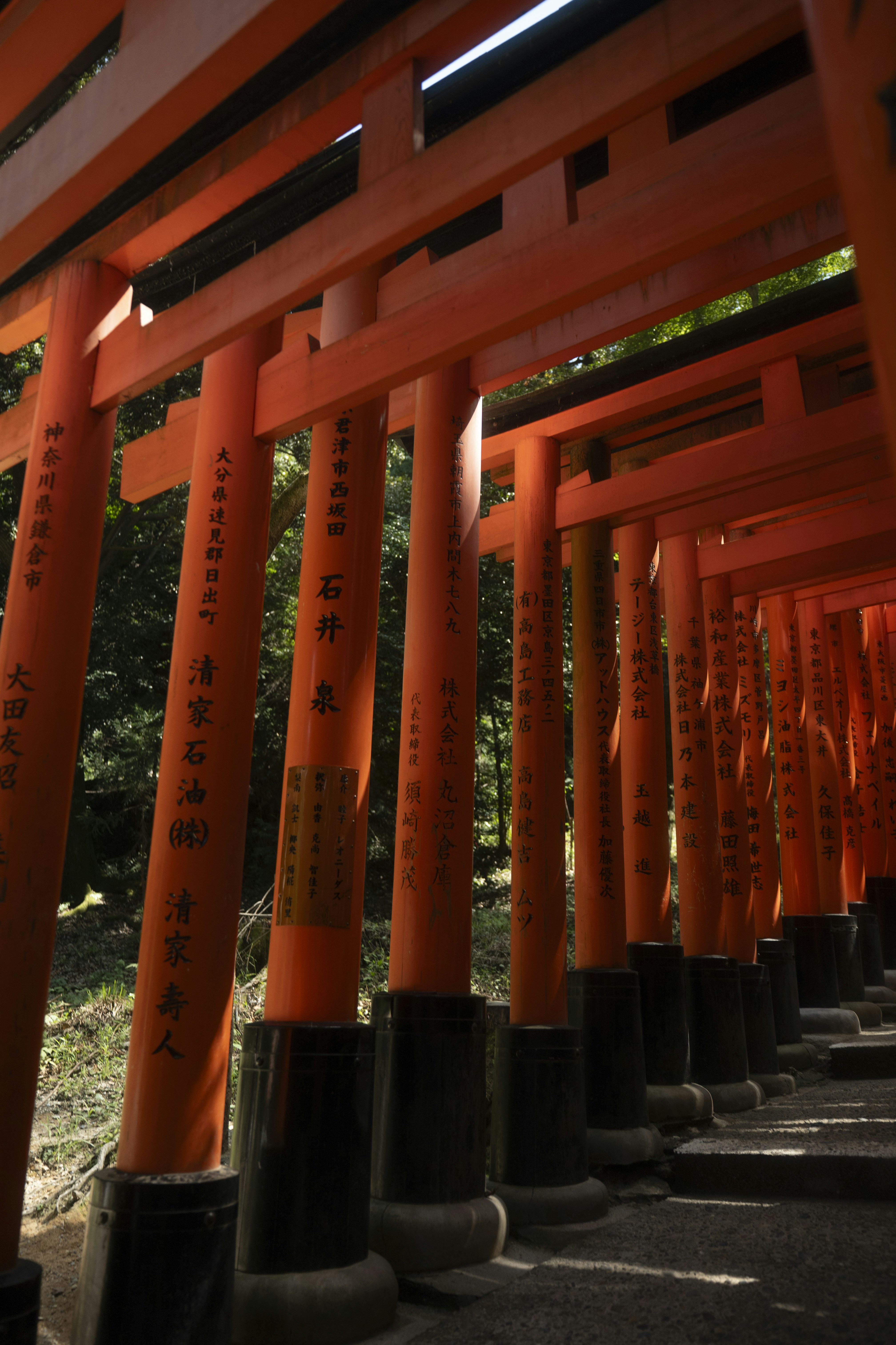 A row of bright orange torii gates with black Japanese calligraphy in Kyoto