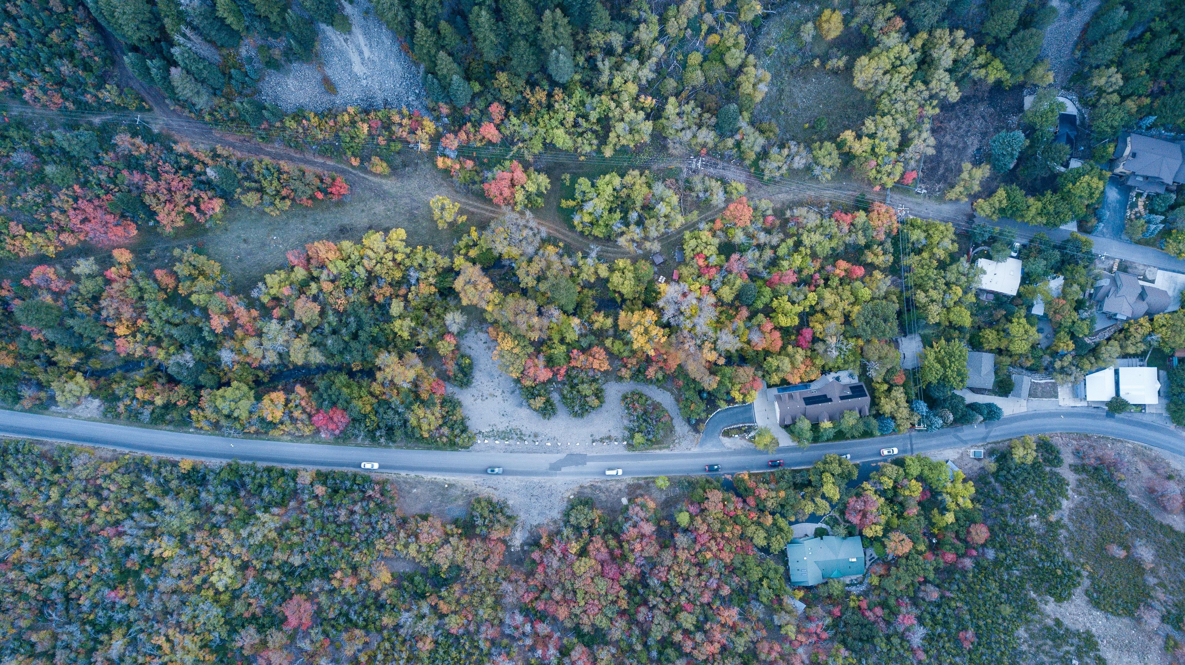 Aerial view of a winding road through a forest with autumn foliage