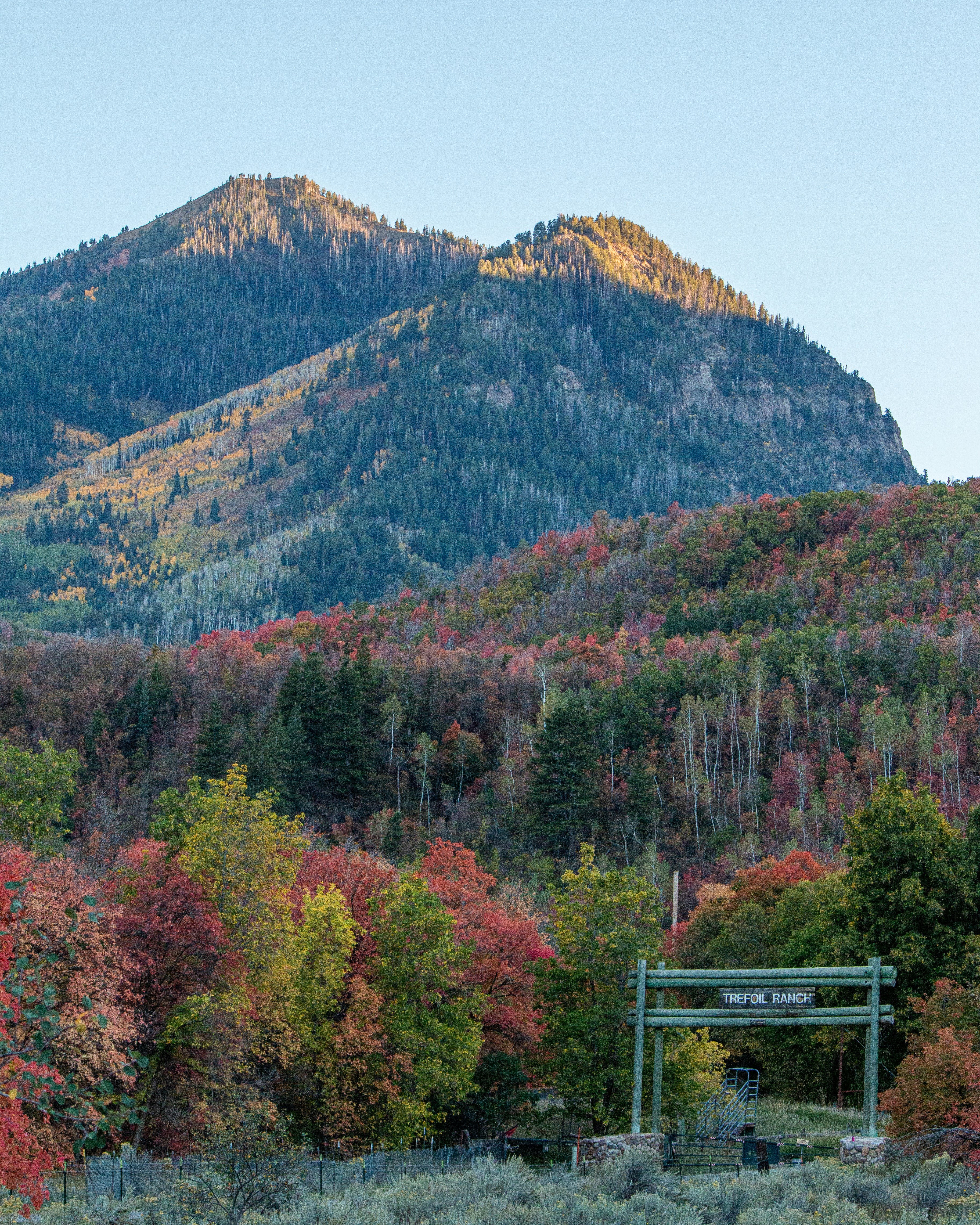 A wooden sign reading "Trefoil Ranch" before a mountain covered in autumn foliage
