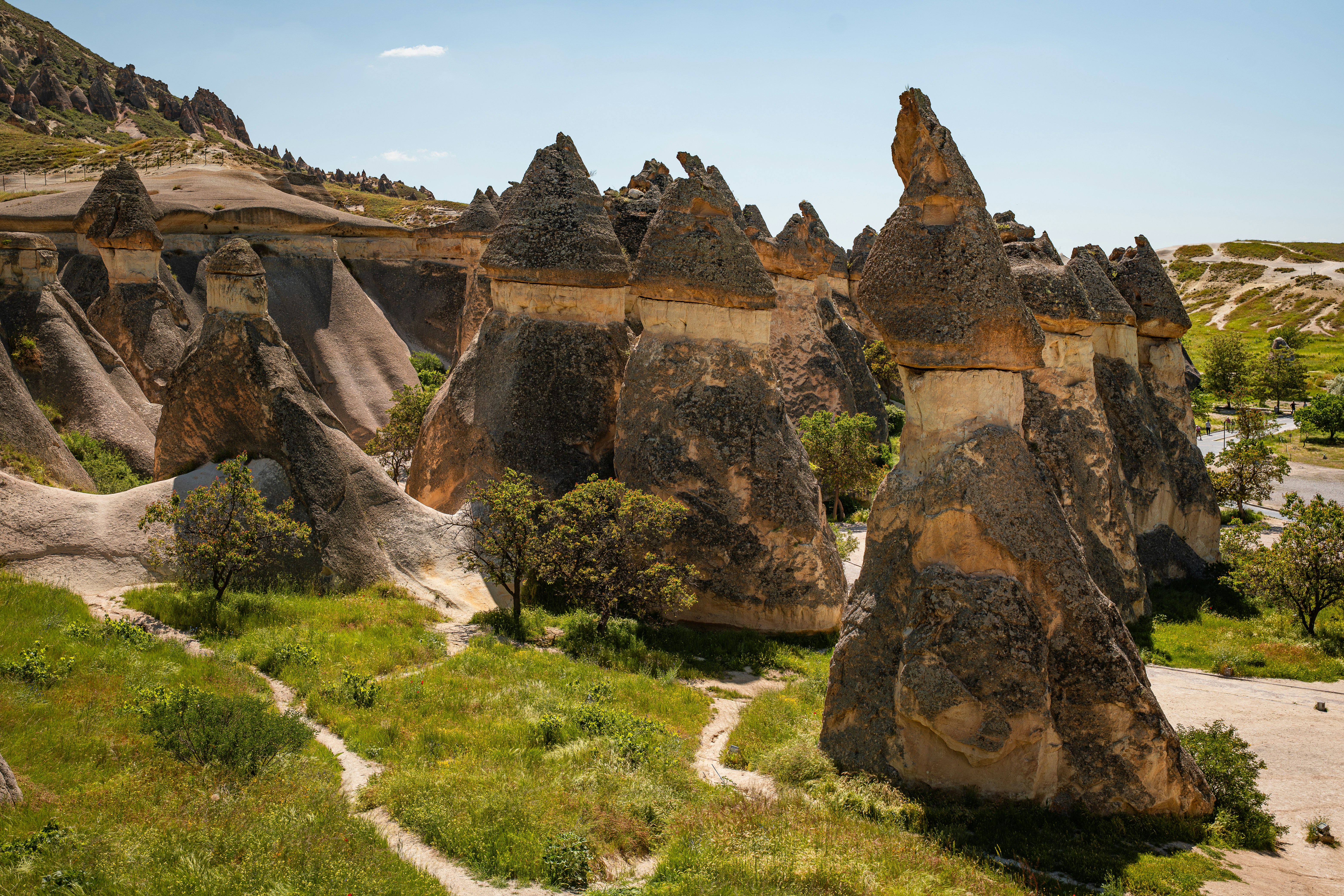 Fairy chimneys and rock formations in the Pasabag Valley of Cappadocia, Turkey