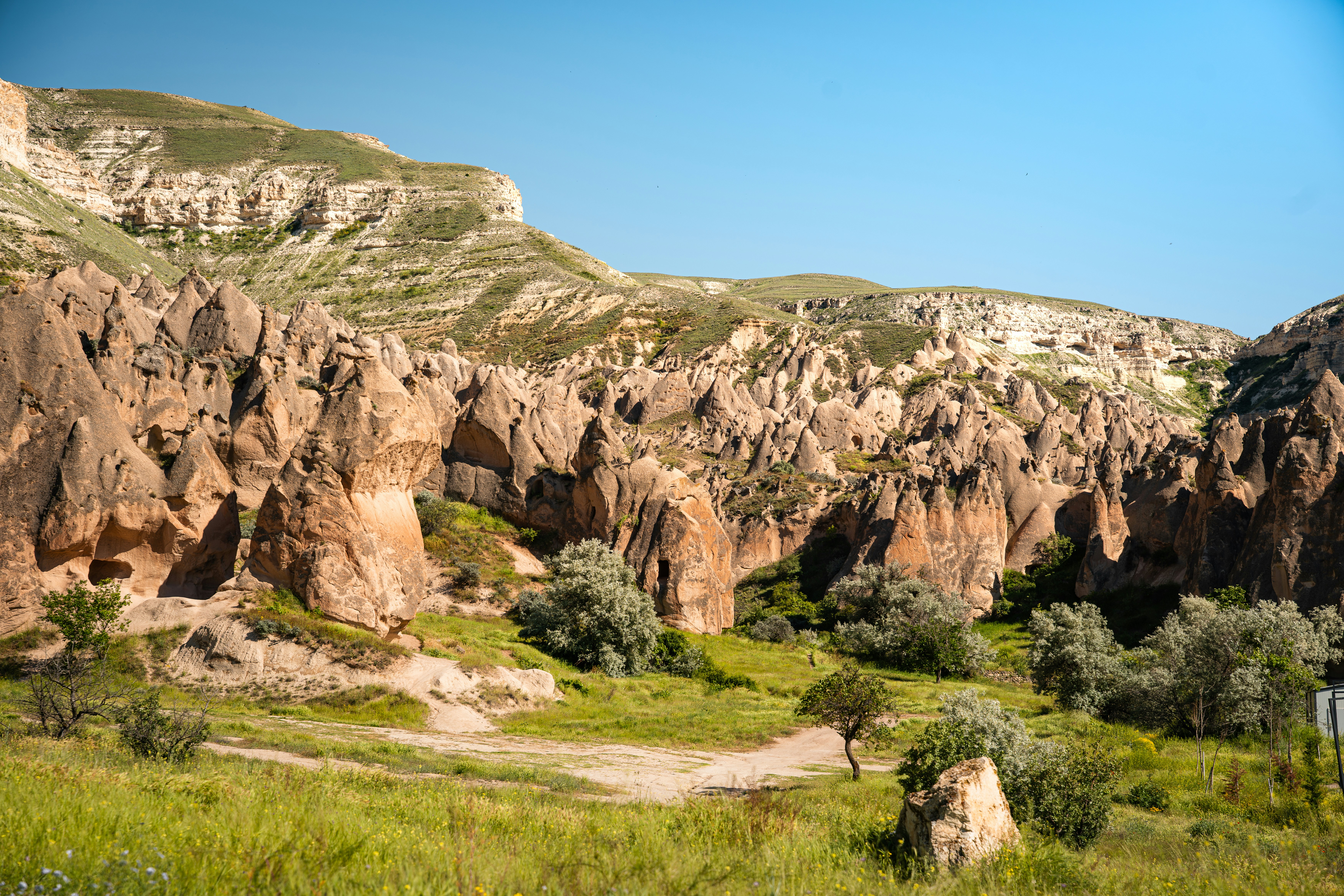 Eroded rock formations and green vegetation in the valley of Cappadocia, Turkey