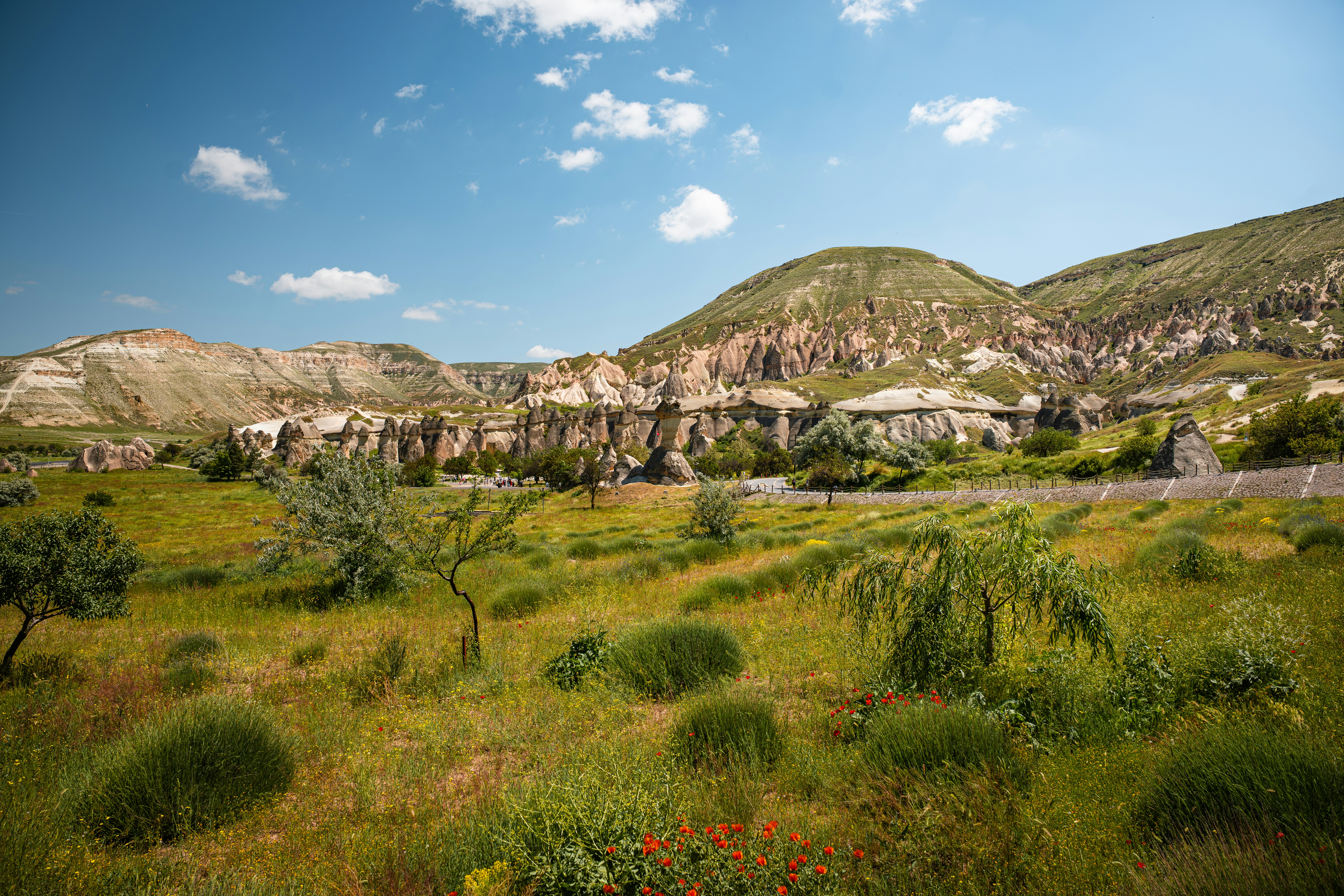 A green meadow with wildflowers and rock formations under a blue sky in Cappadocia