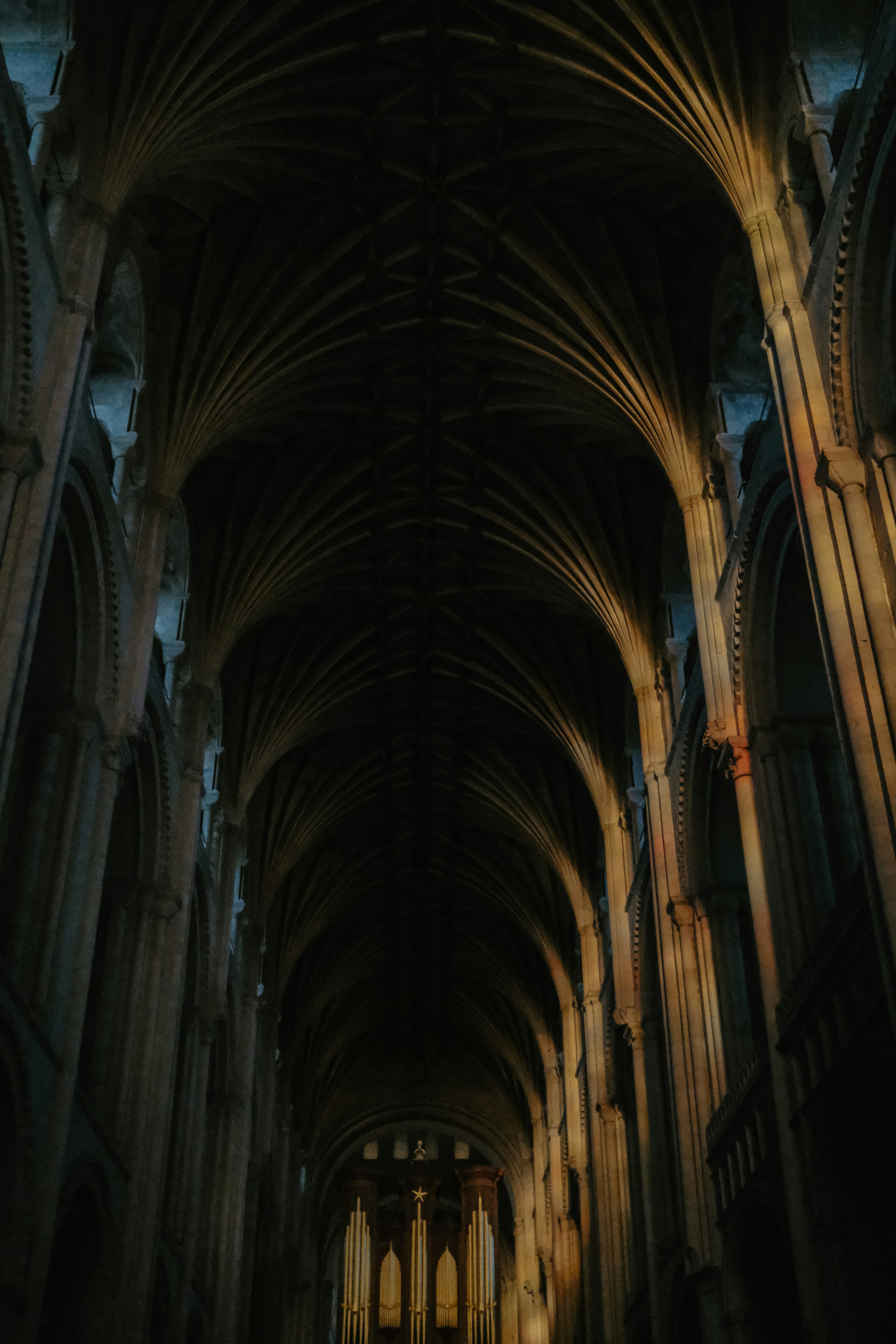 The vaulted stone ceiling and tall columns of a dimly lit cathedral interior