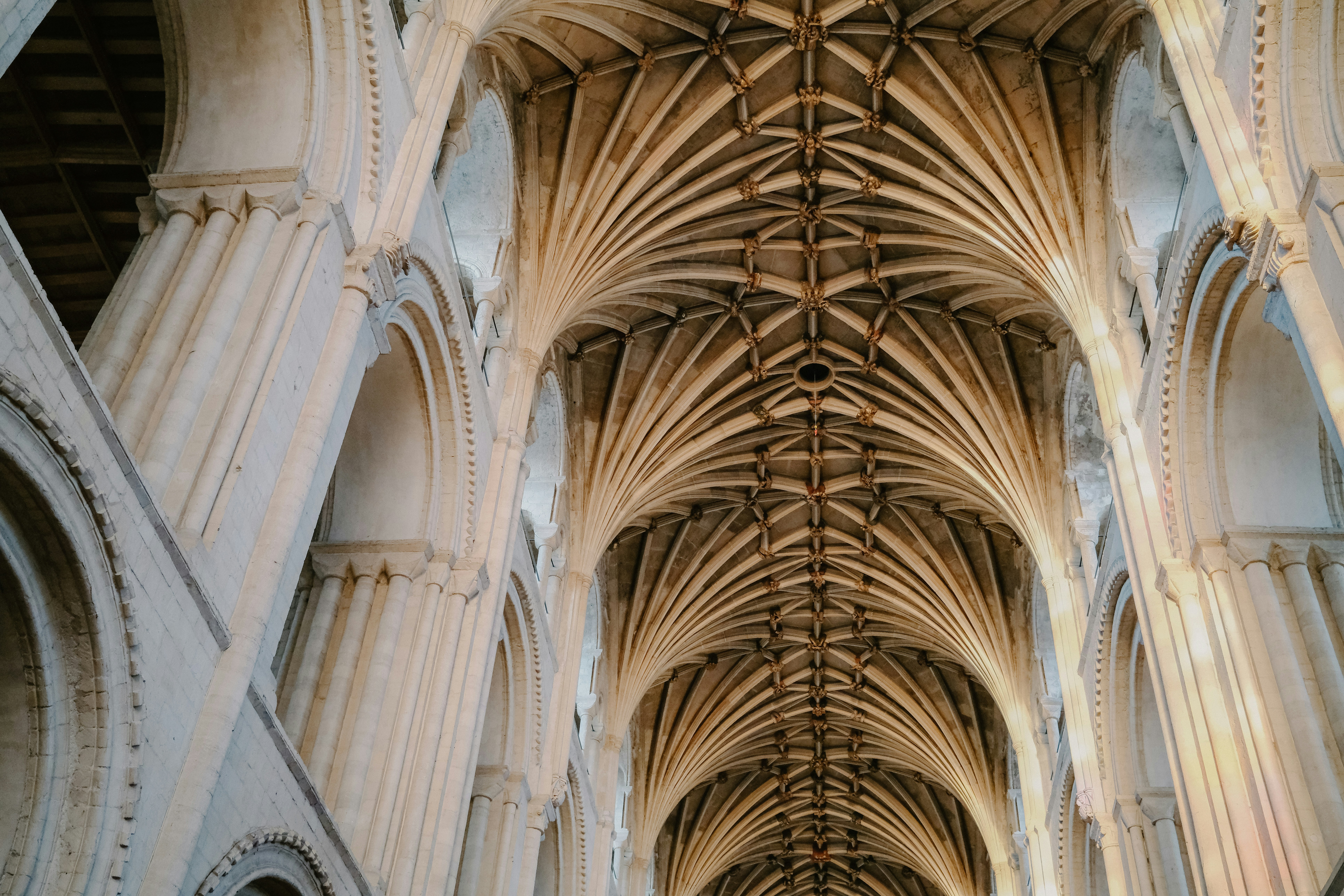 The intricate stone ribbed vaulting of a cathedral ceiling with tall arched columns