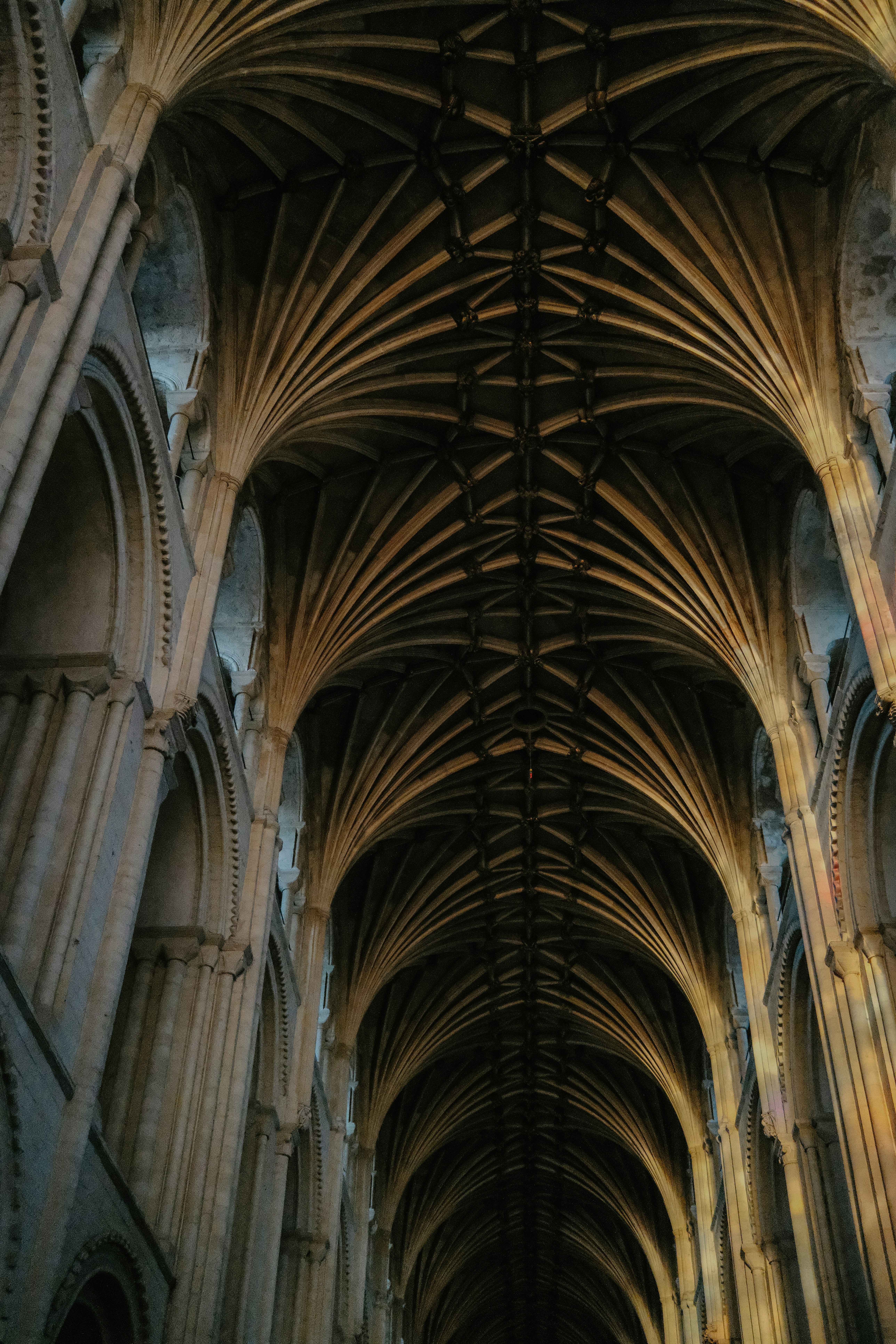 The vaulted stone ceiling of a cathedral with intricate ribbed arches and columns