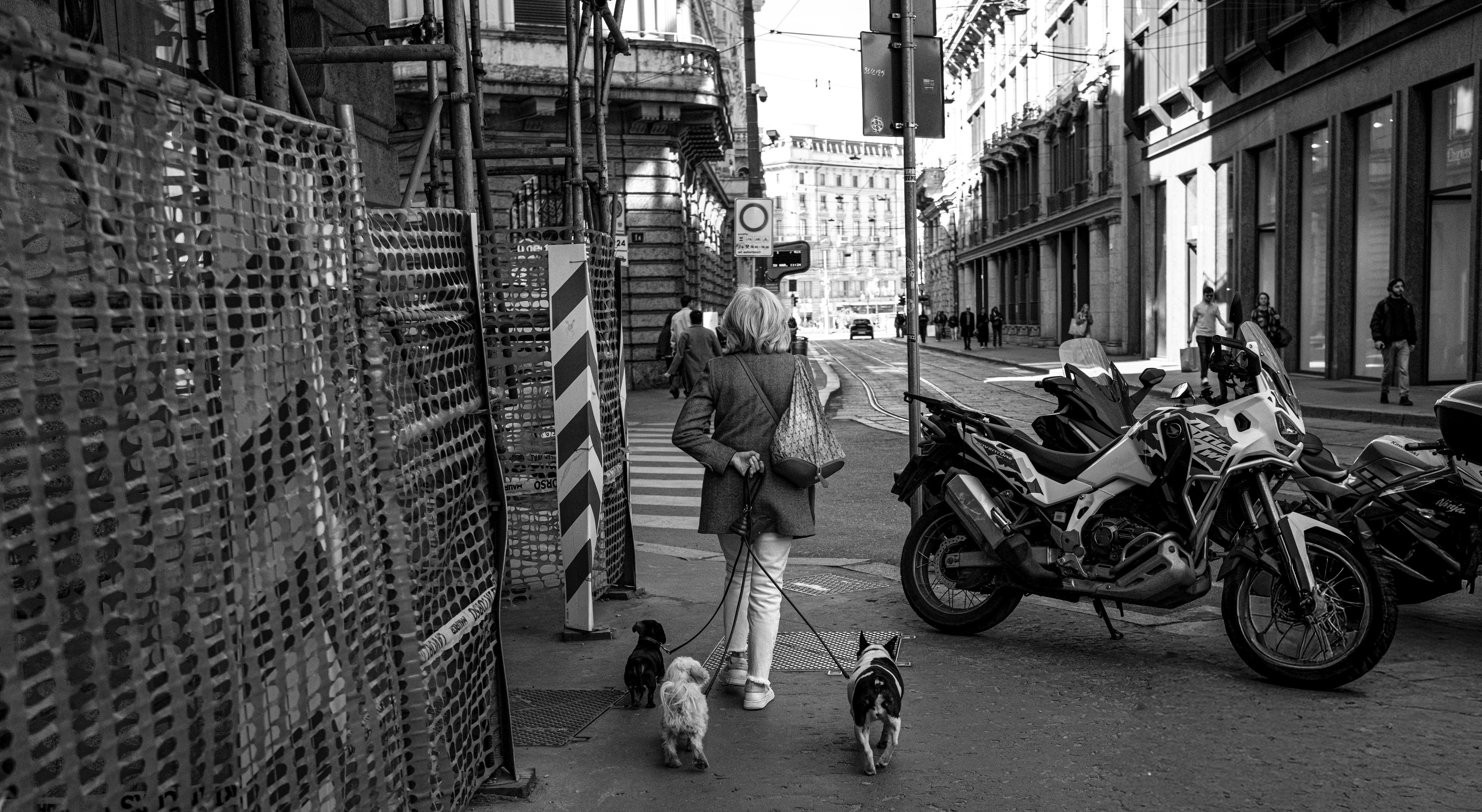 A woman walking three dogs on leashes along a city sidewalk in black and white