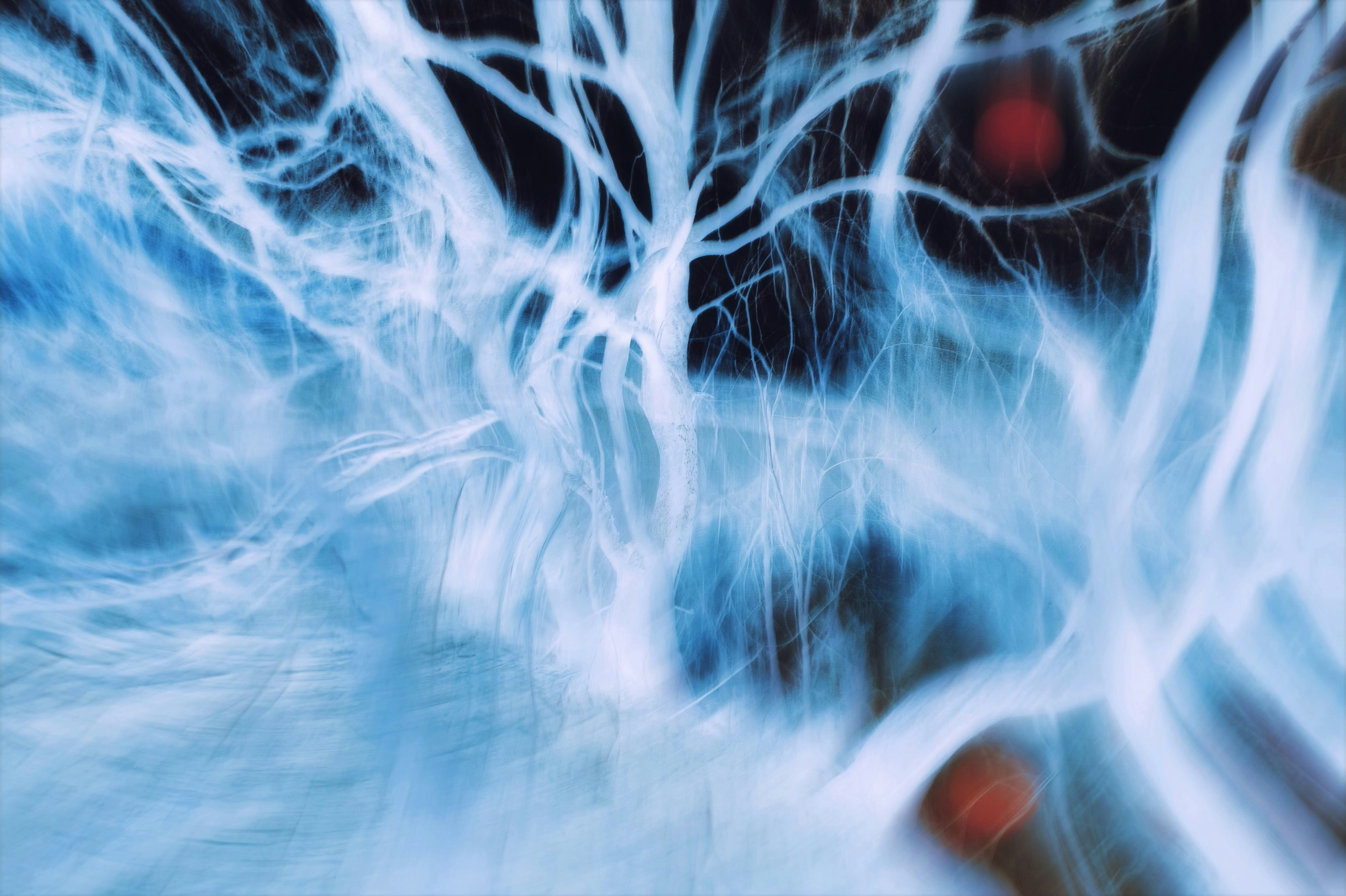 A blurred tree with glowing white branches against a dark background with red orbs