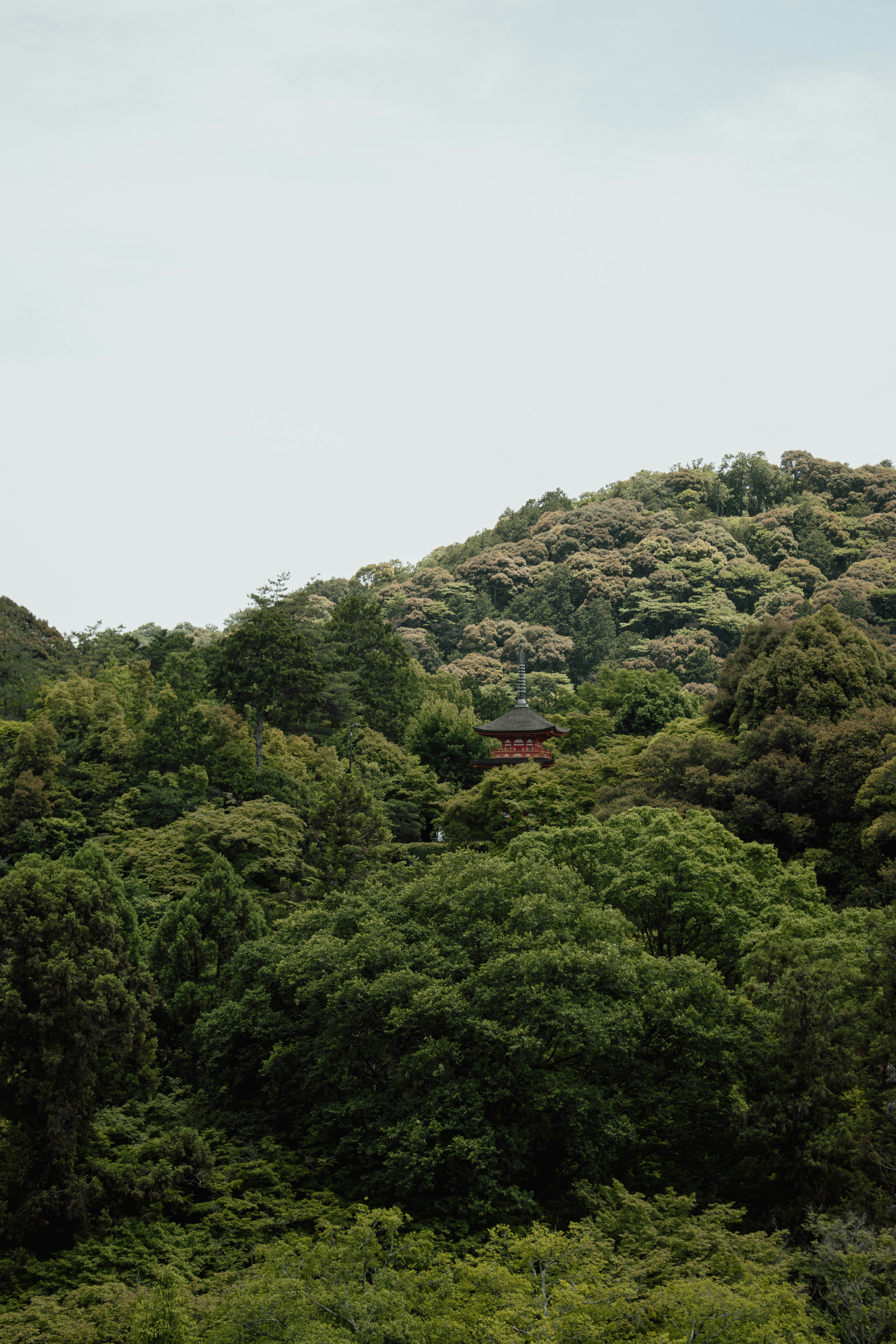 A red pagoda nestled within a dense green forest on a hillside