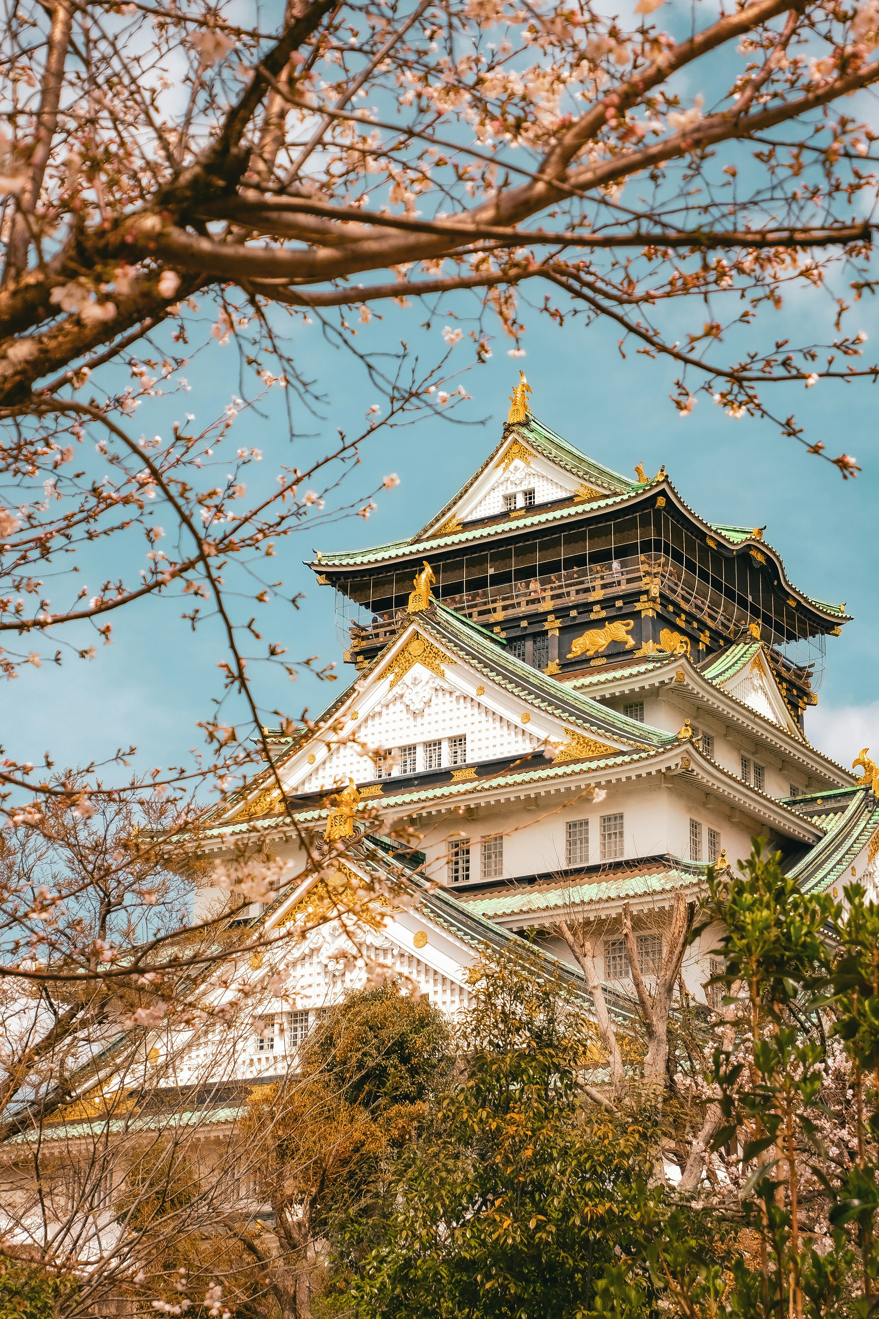 Osaka Castle framed by blooming cherry blossom branches against a clear blue sky