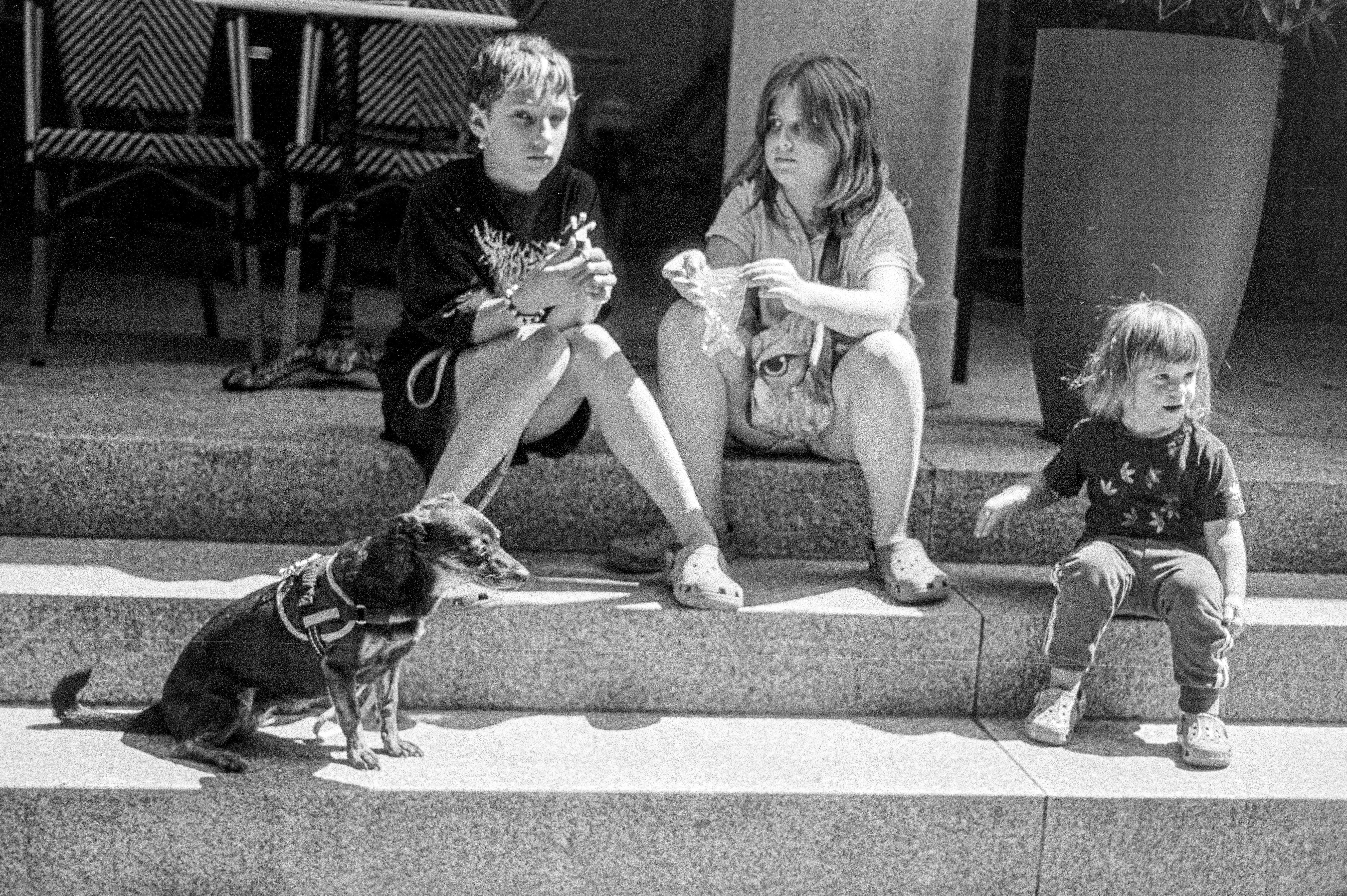 Xpert Canin — Lyon et région