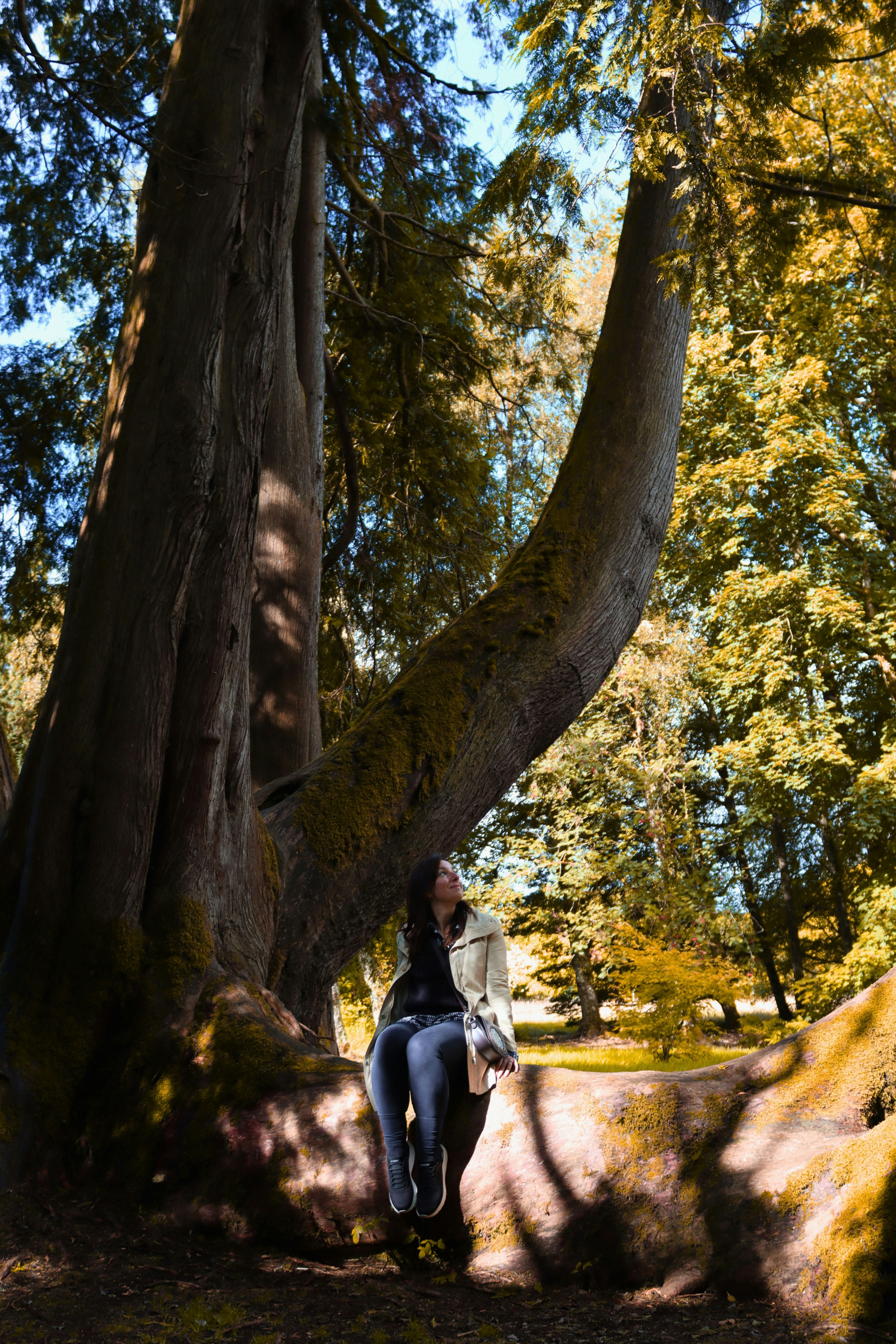 A woman in a beige jacket sitting on a large mossy tree trunk